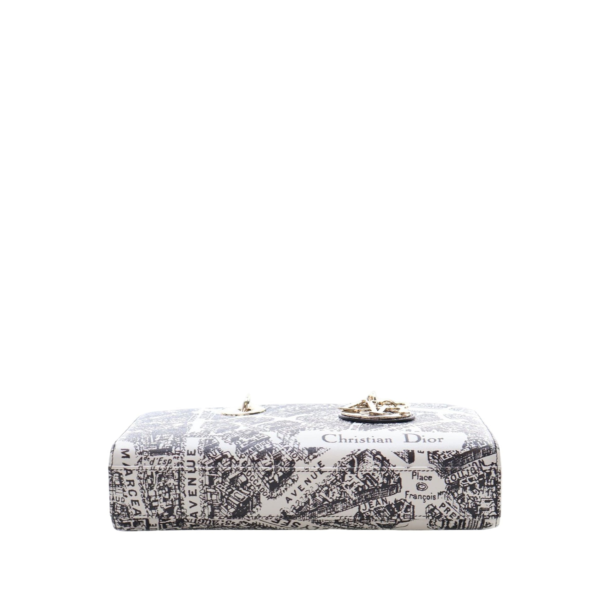 Dior Medium Calfskin Plan De Paris Printed Lady D Joy