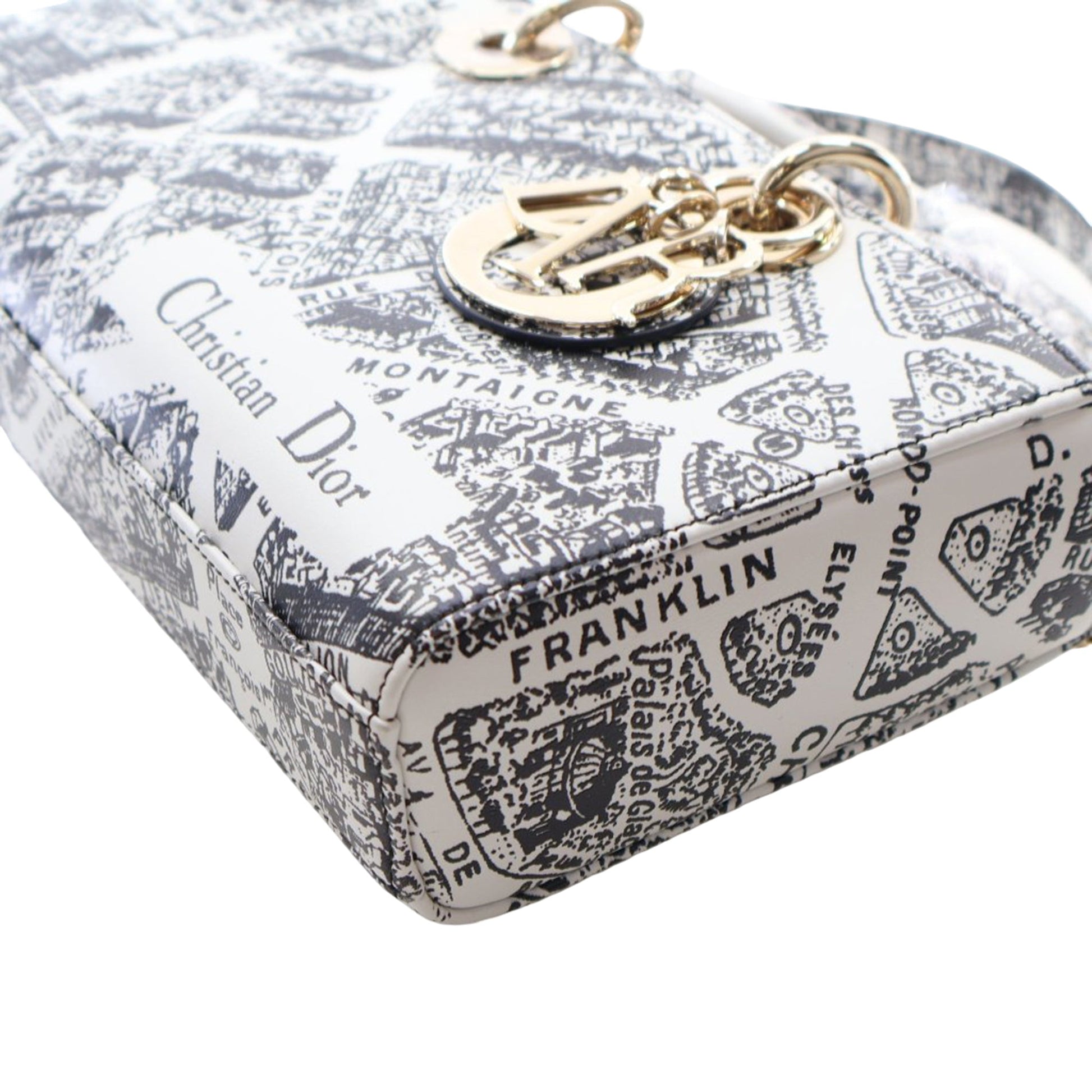 Dior Medium Calfskin Plan De Paris Printed Lady D Joy