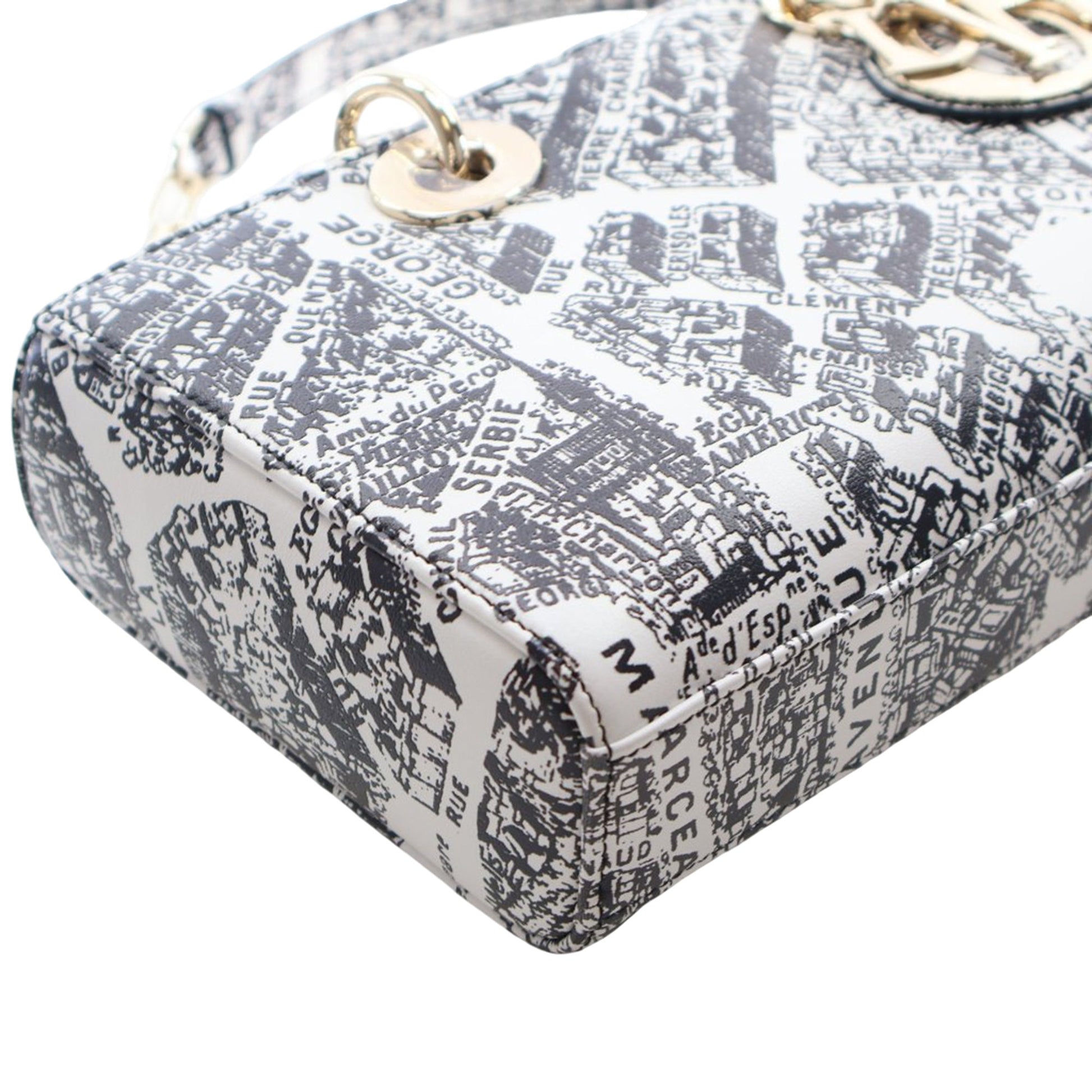 Dior Medium Calfskin Plan De Paris Printed Lady D Joy