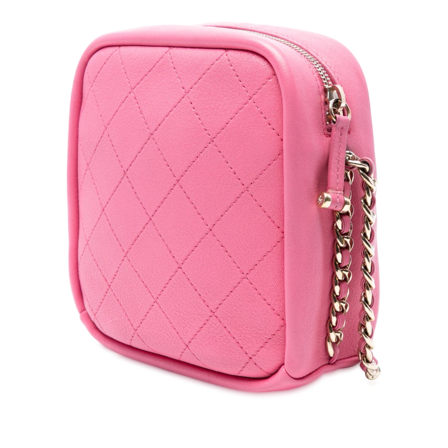 Chanel Stitched Goatskin Casual Trip North South Camera Case