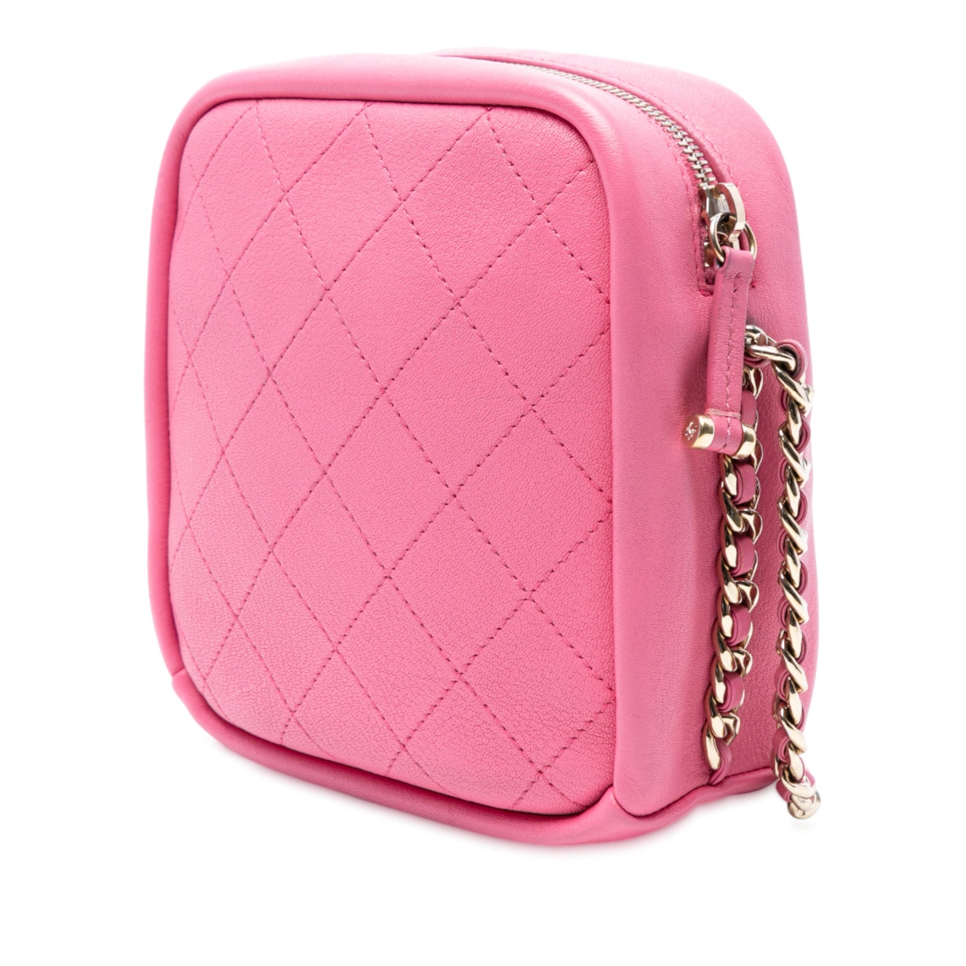 Chanel Stitched Goatskin Casual Trip North South Camera Case