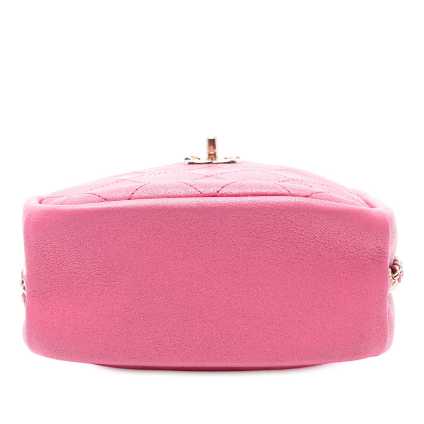 Chanel Stitched Goatskin Casual Trip North South Camera Case