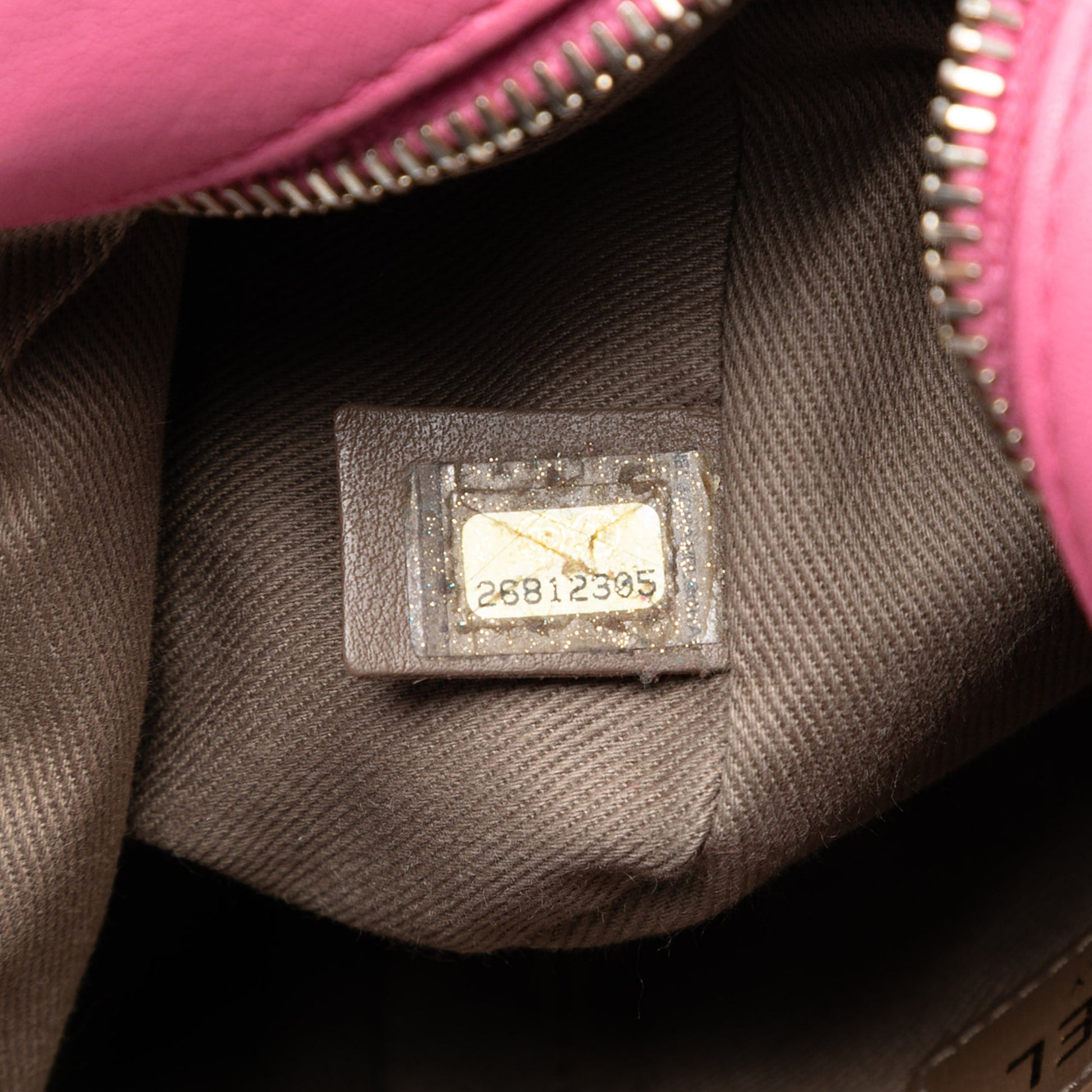 Chanel Stitched Goatskin Casual Trip North South Camera Case