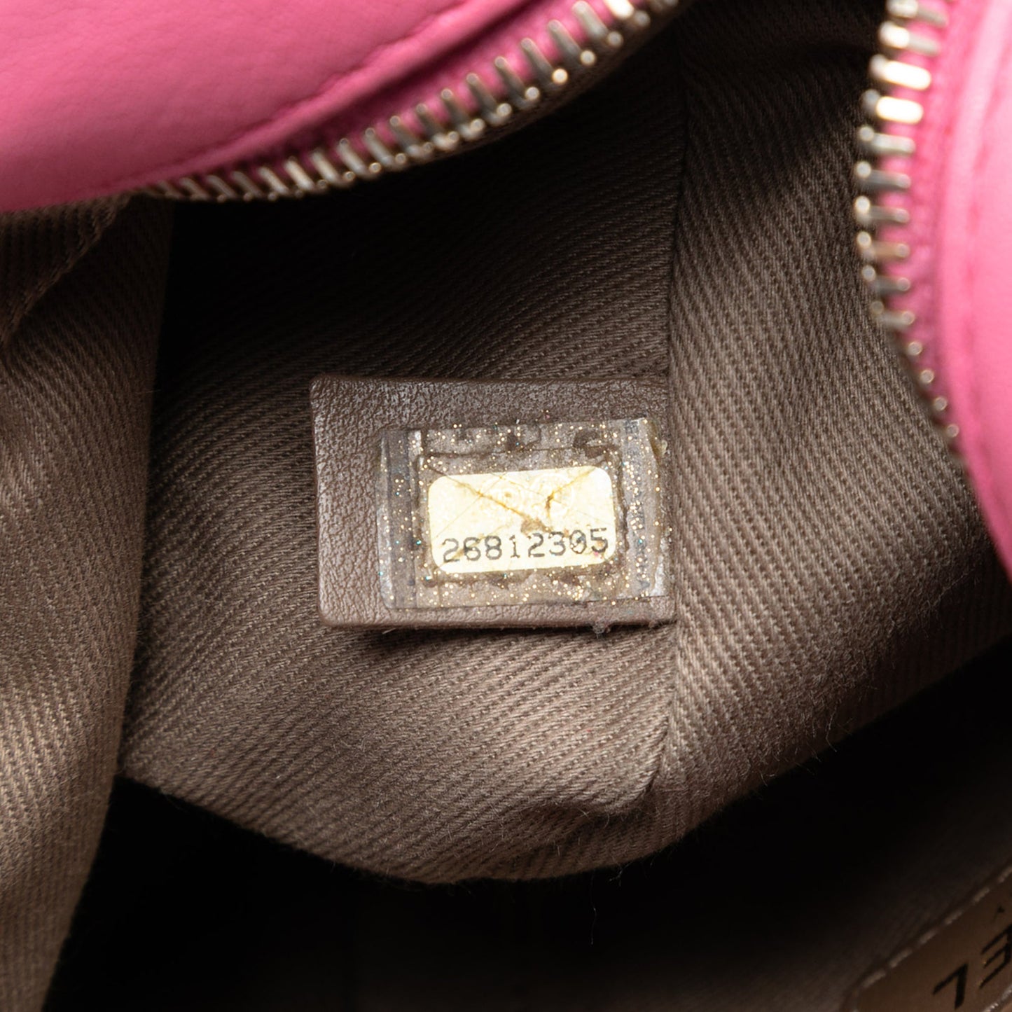 Chanel Stitched Goatskin Casual Trip North South Camera Case