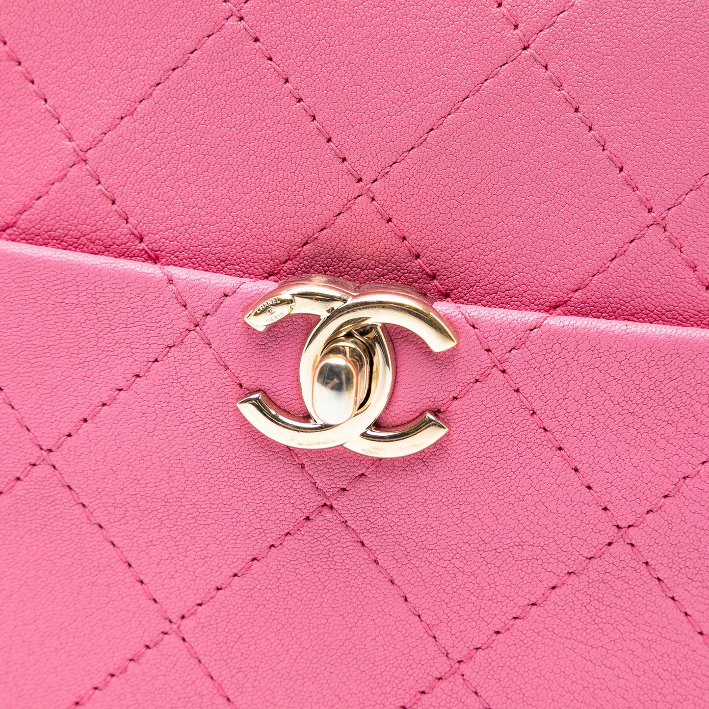 Chanel Stitched Goatskin Casual Trip North South Camera Case