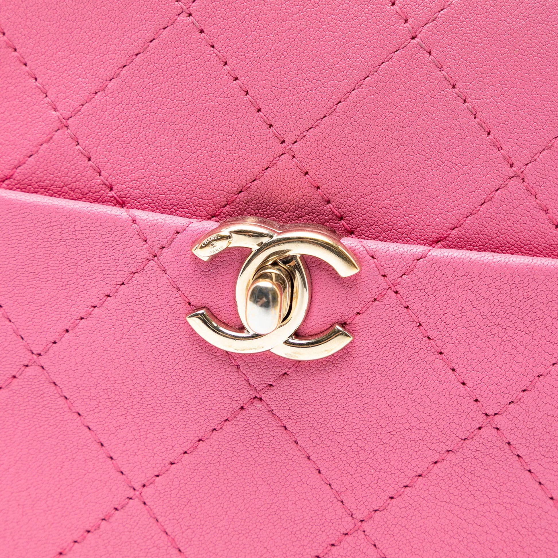 Chanel Stitched Goatskin Casual Trip North South Camera Case