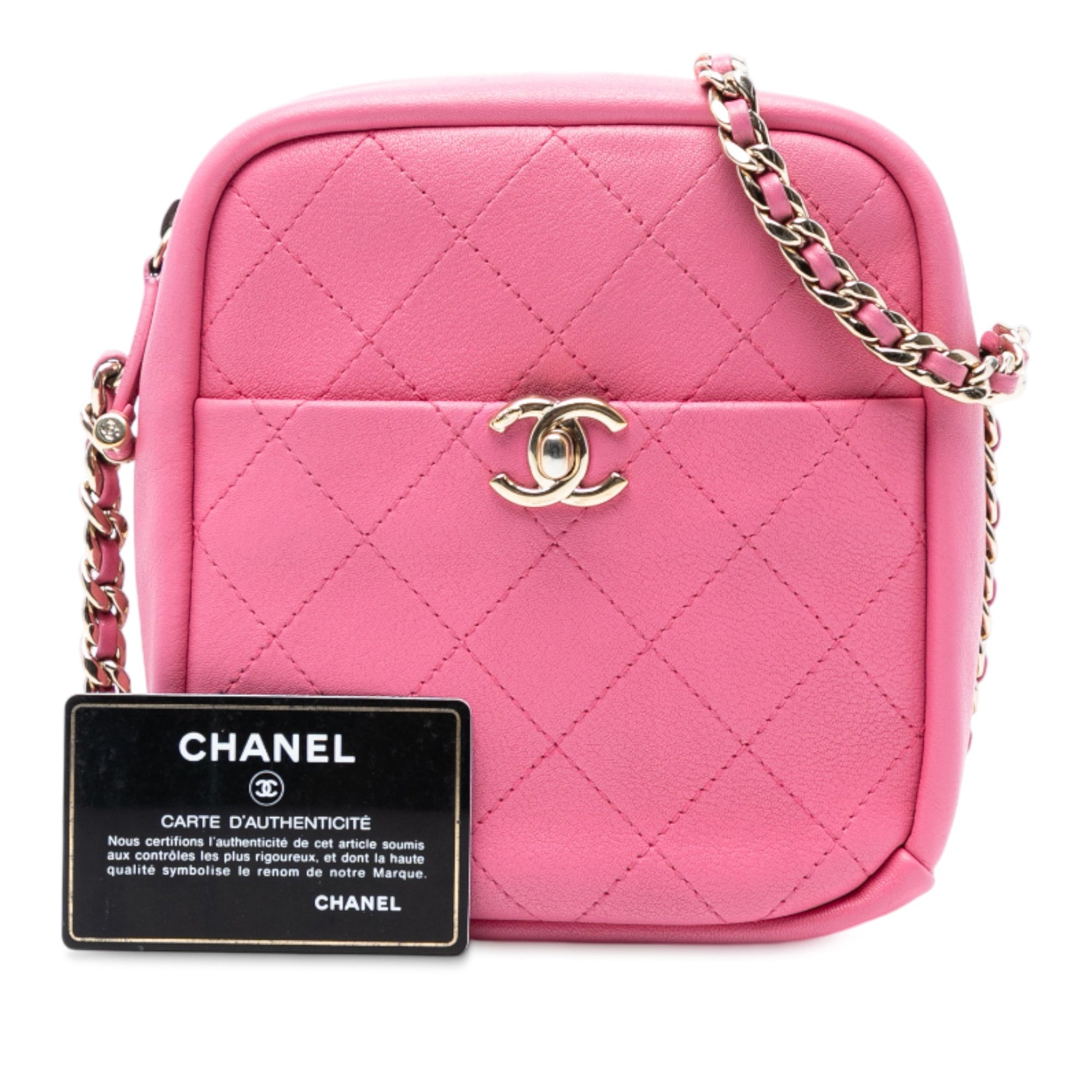 Chanel Stitched Goatskin Casual Trip North South Camera Case