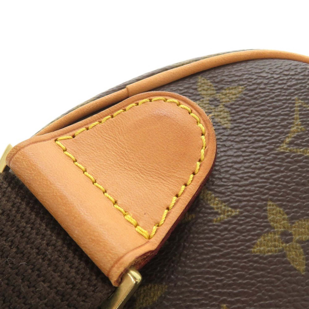 Louis Vuitton Monogram Pochette Gange
