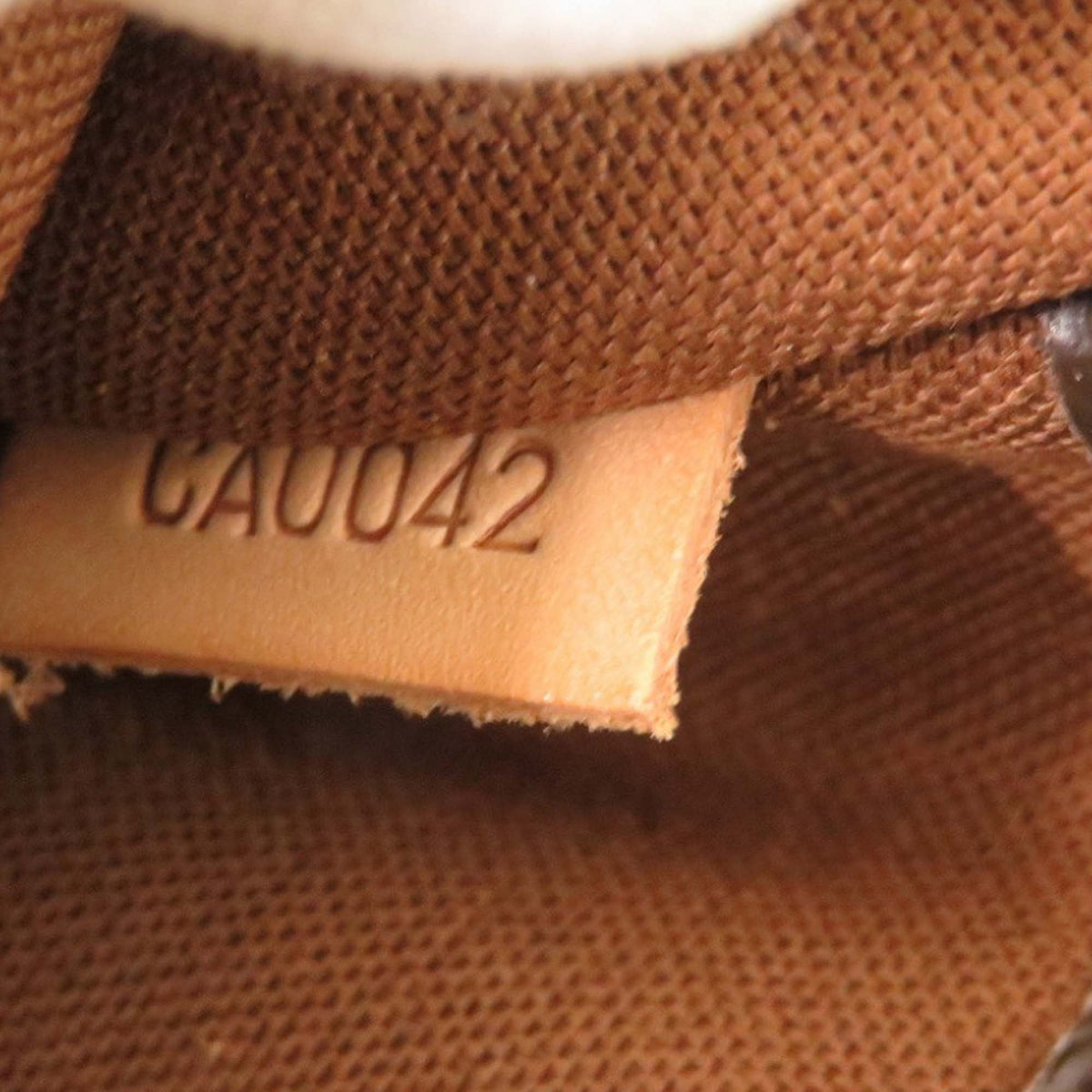 Louis Vuitton Monogram Pochette Gange