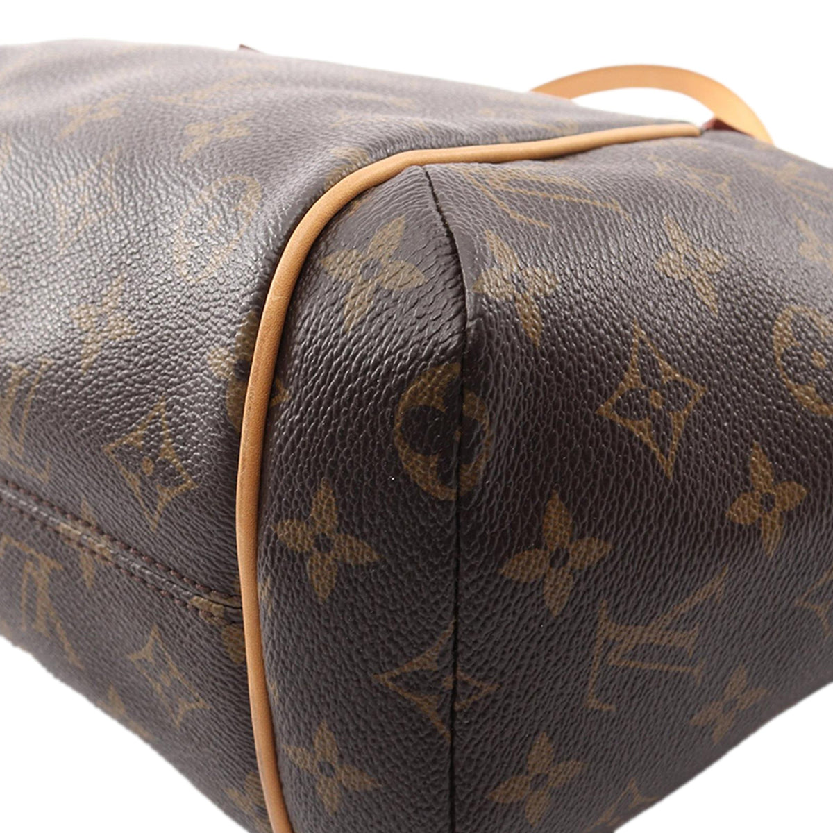 Louis Vuitton Monogram Totally PM