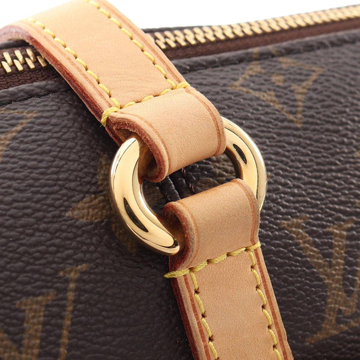 Louis Vuitton Monogram Totally PM