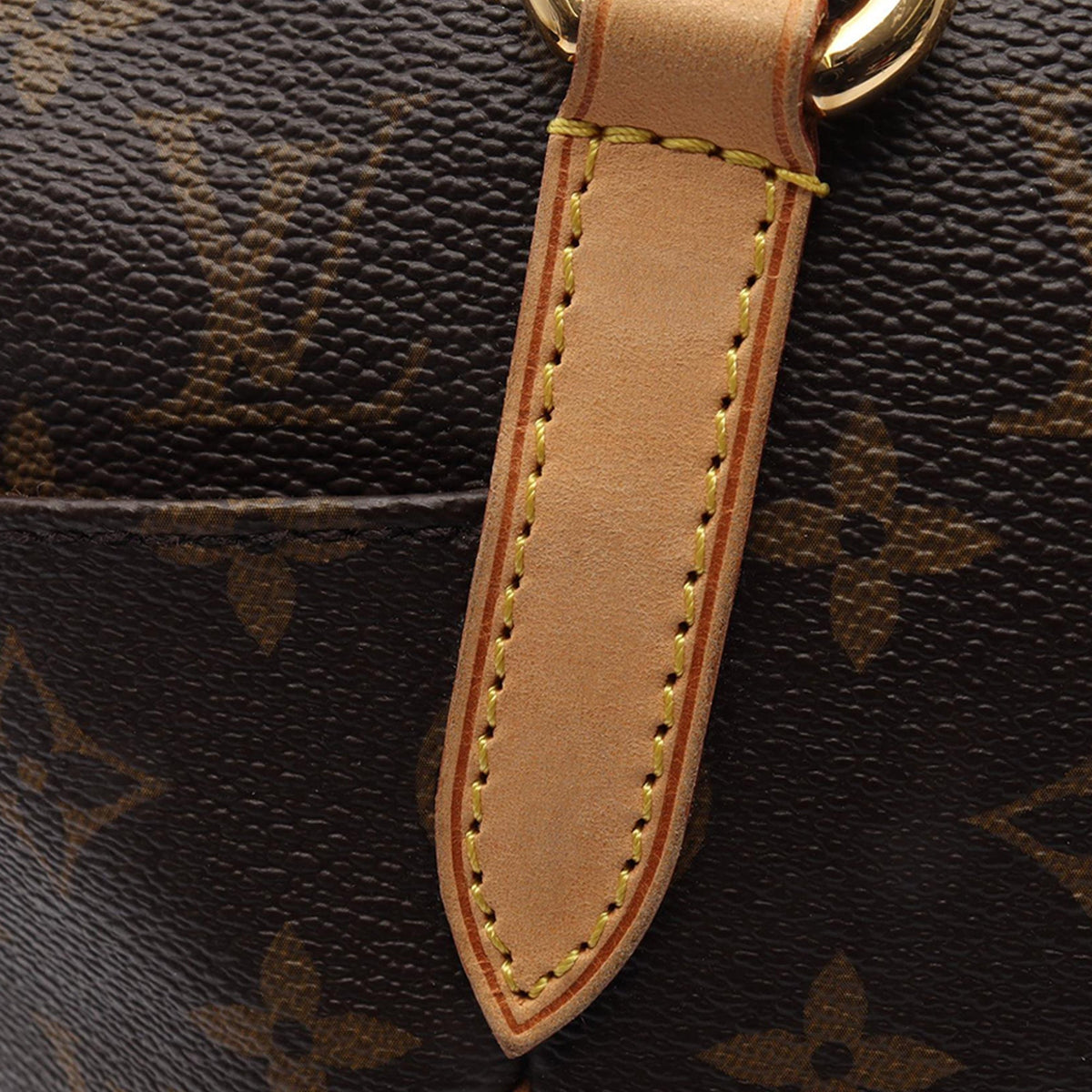 Louis Vuitton Monogram Totally PM