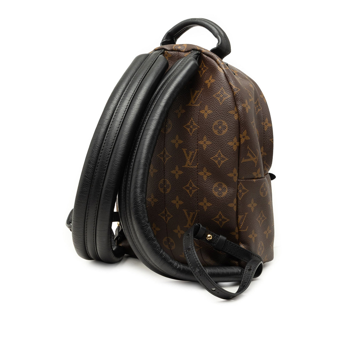 Louis Vuitton Monogram Reverse Palm Springs PM