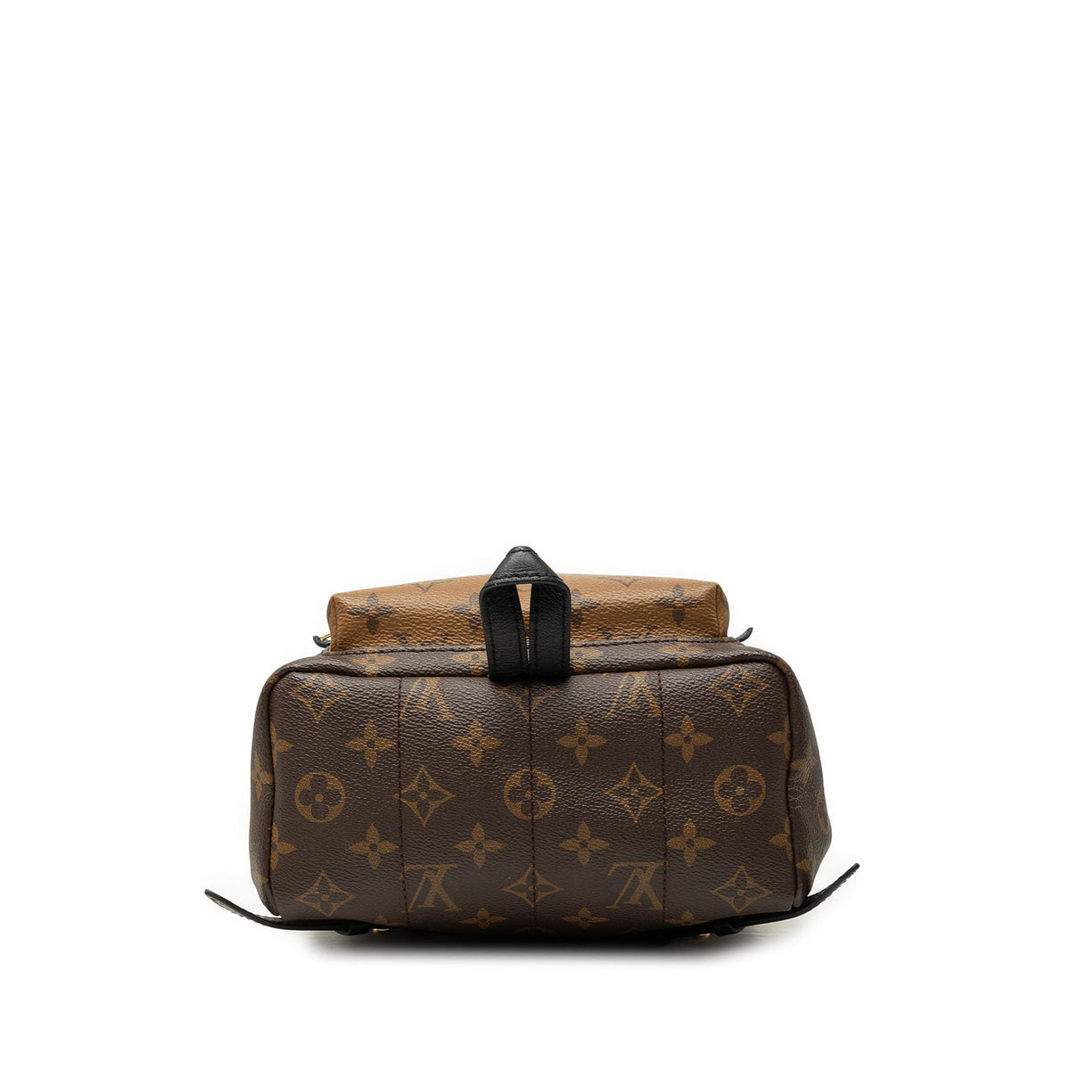 Louis Vuitton Monogram Reverse Palm Springs PM
