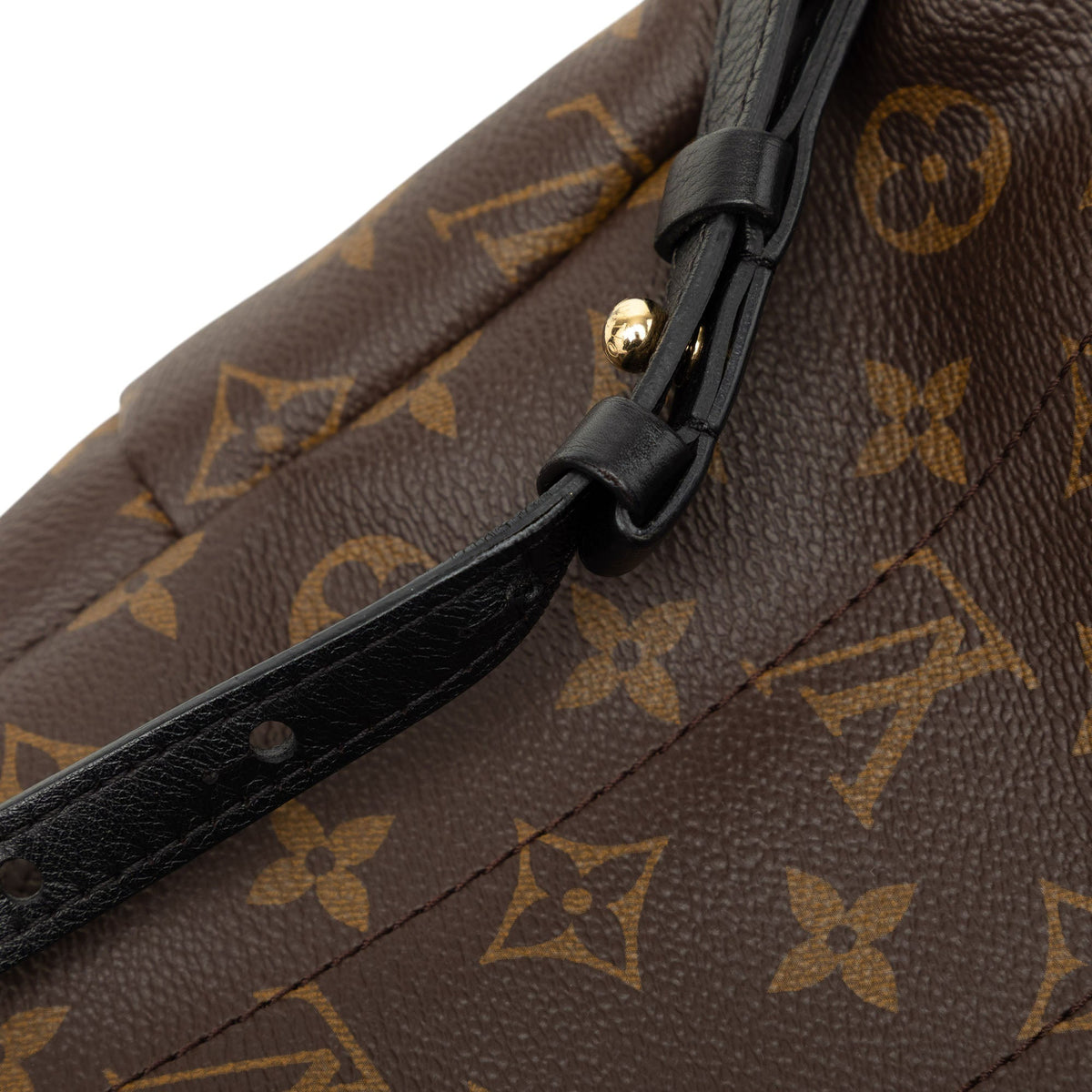 Louis Vuitton Monogram Reverse Palm Springs PM