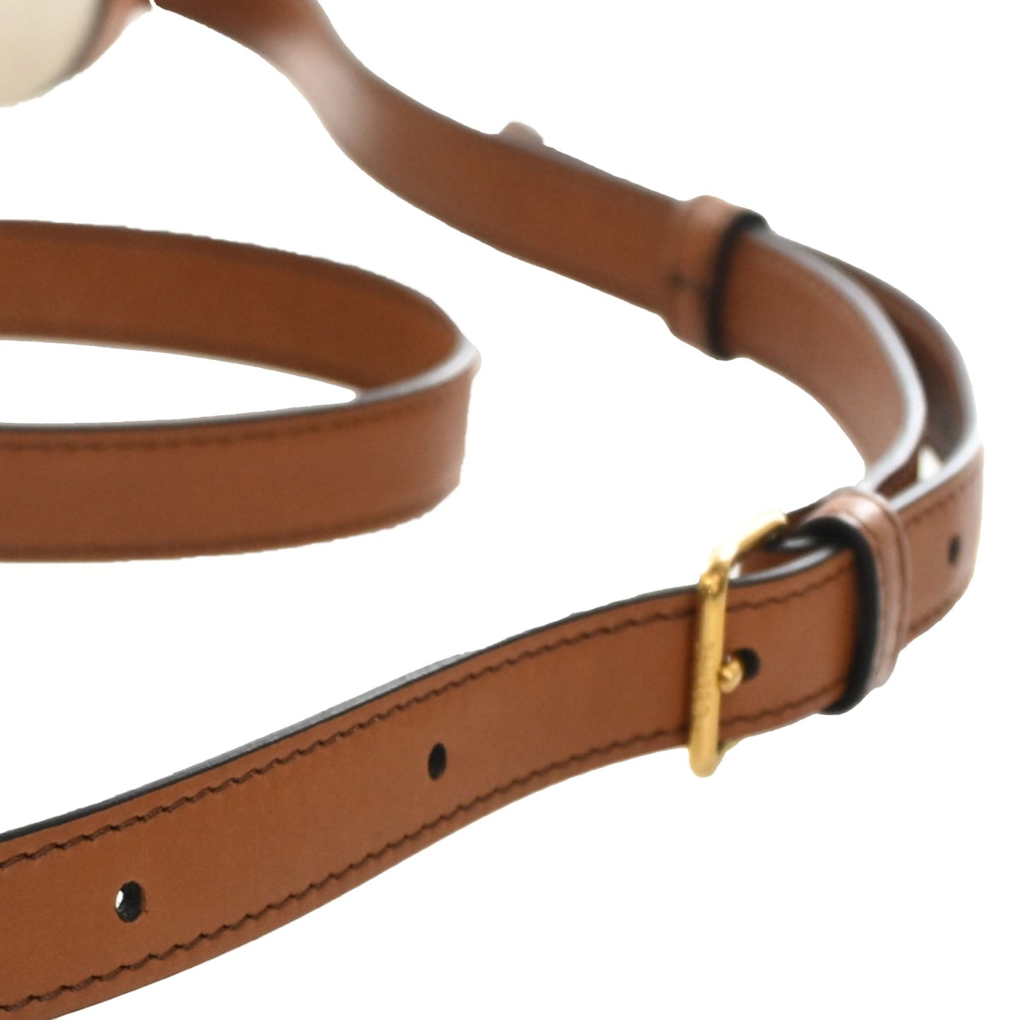 Celine Teen Canvas and Calfskin Triomphe Crossbody