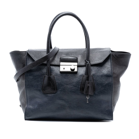 Prada Bicolor Glace Calf Sound Lock Satchel