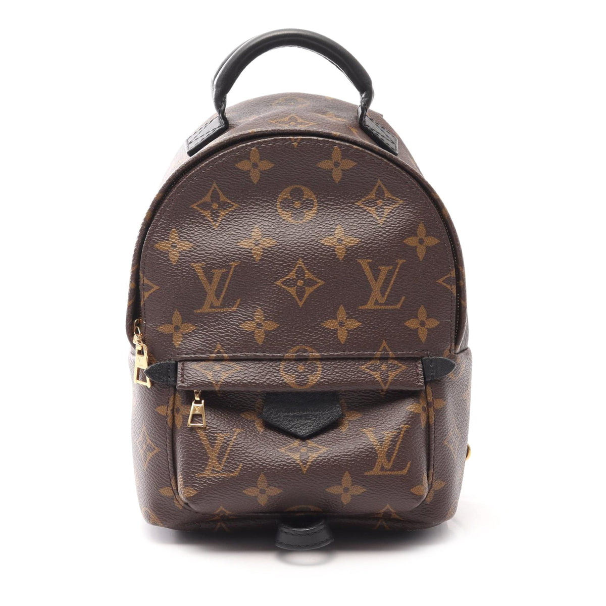 Louis Vuitton Monogram Mini Palm Springs