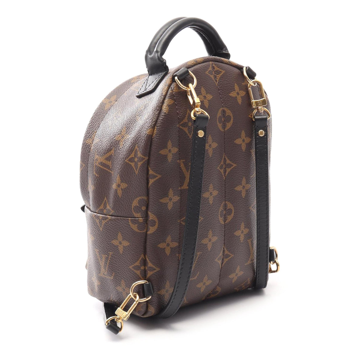 Louis Vuitton Monogram Mini Palm Springs