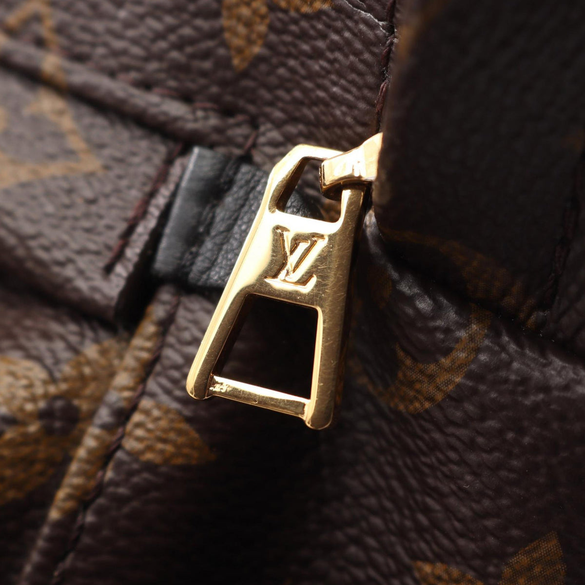 Louis Vuitton Monogram Mini Palm Springs