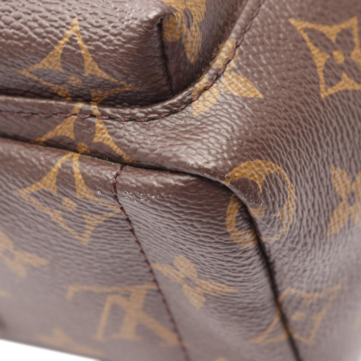 Louis Vuitton Monogram Mini Palm Springs
