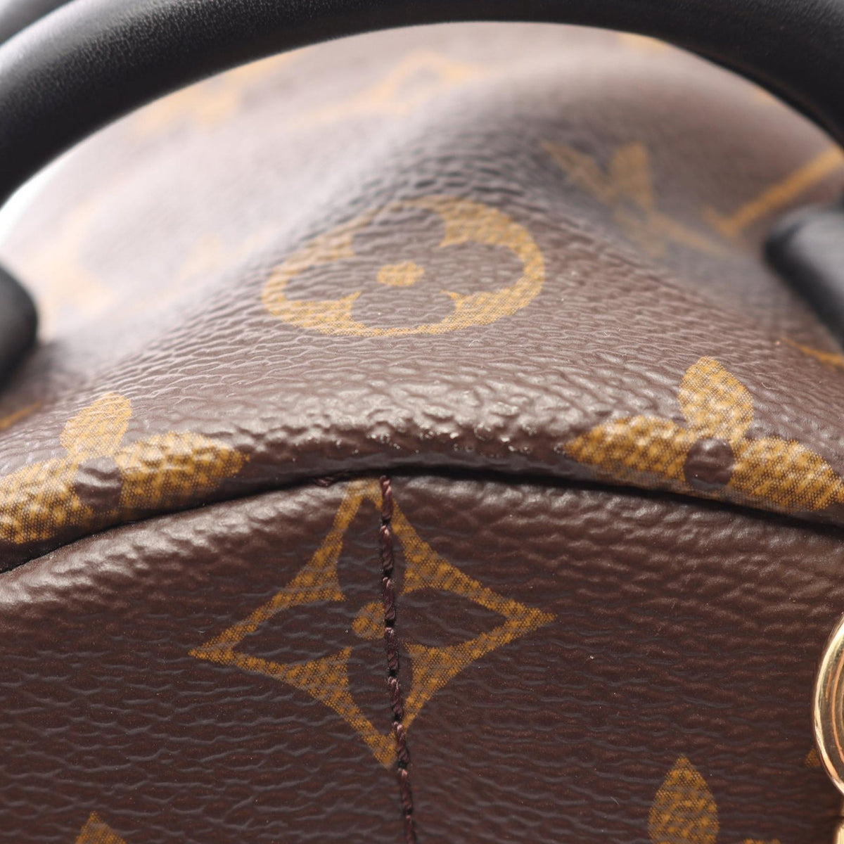 Louis Vuitton Monogram Mini Palm Springs