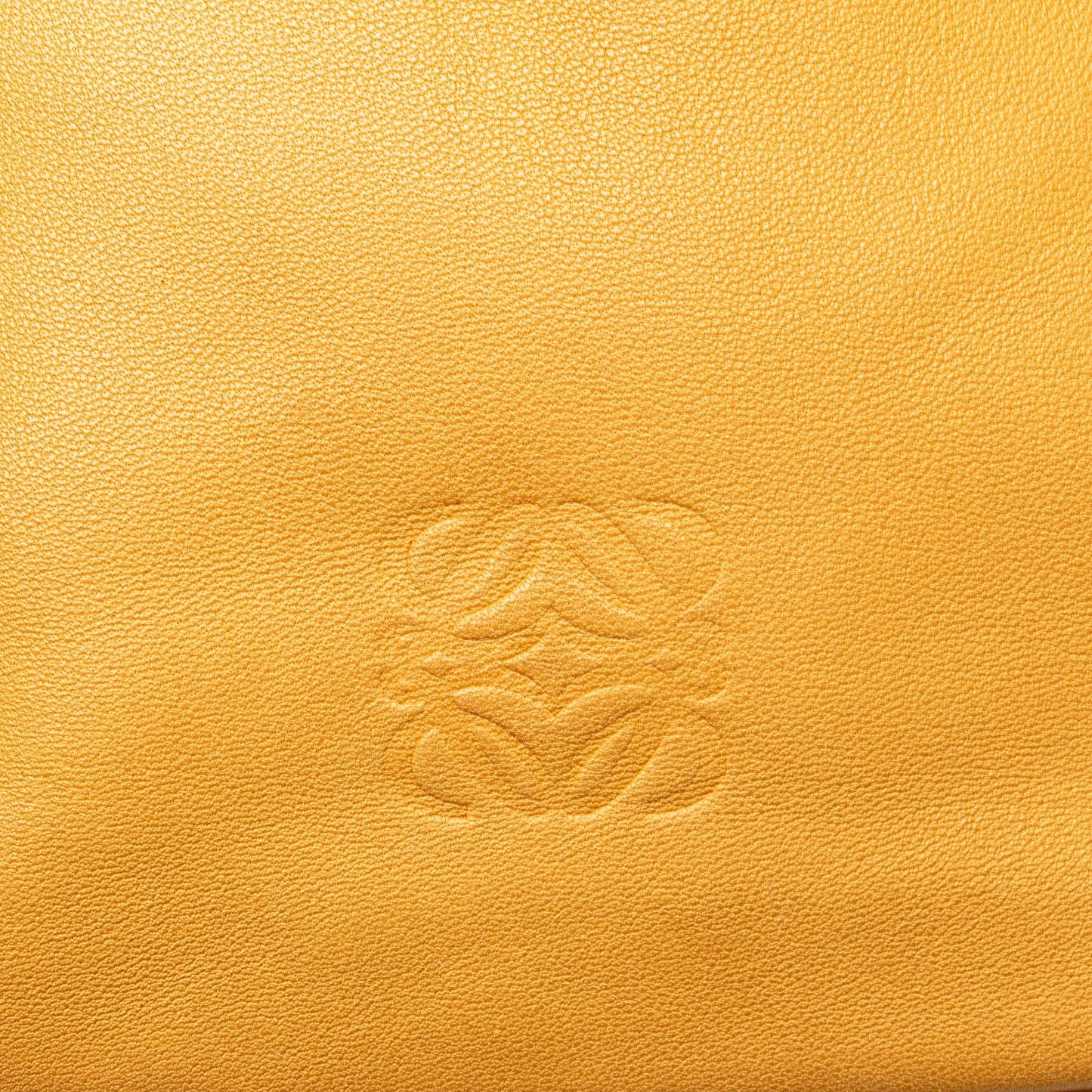 LOEWE Nappa Handbag