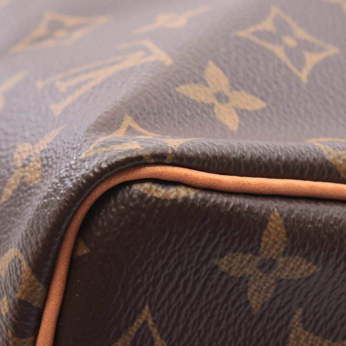 Louis Vuitton Monogram Speedy 25