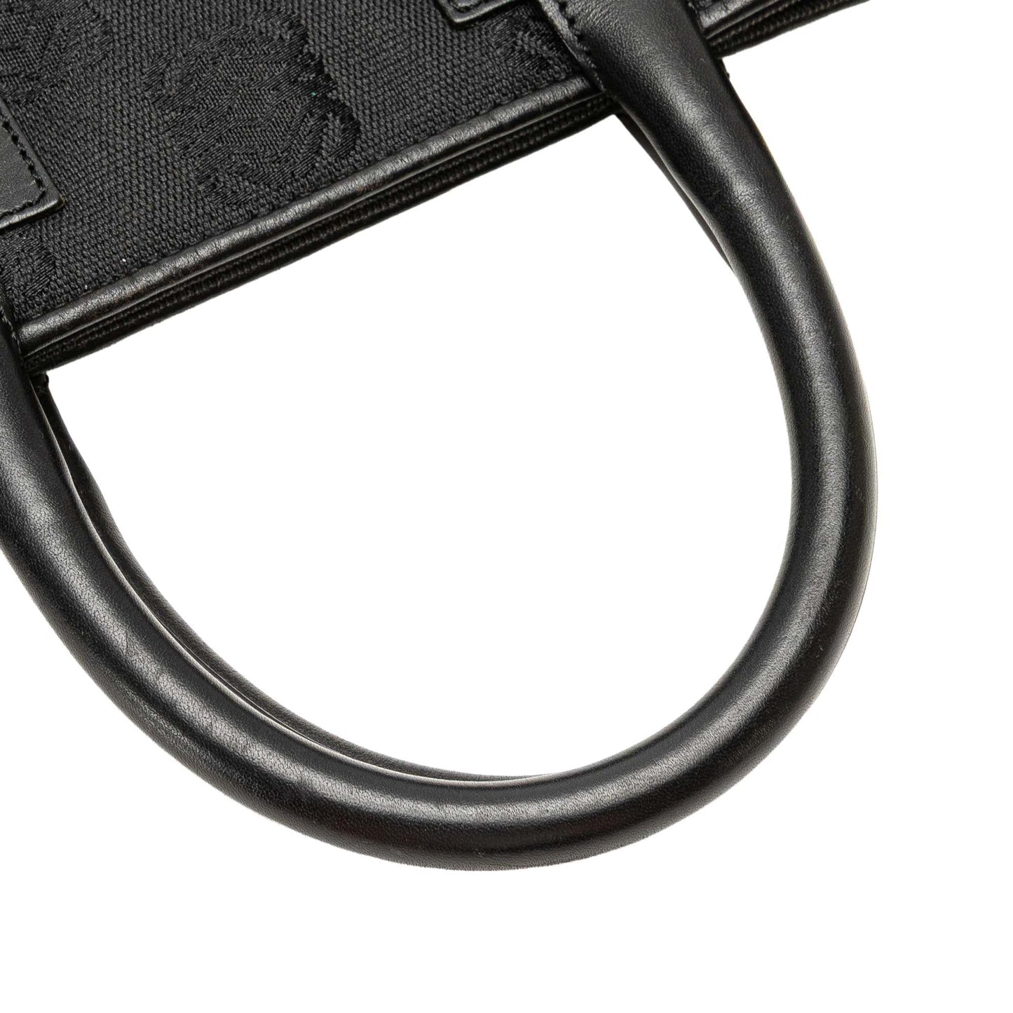LOEWE Anagram Canvas Tote