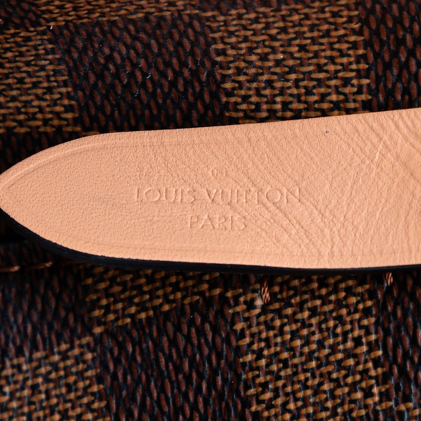 Louis Vuitton Damier Ebene NeoNoe MM