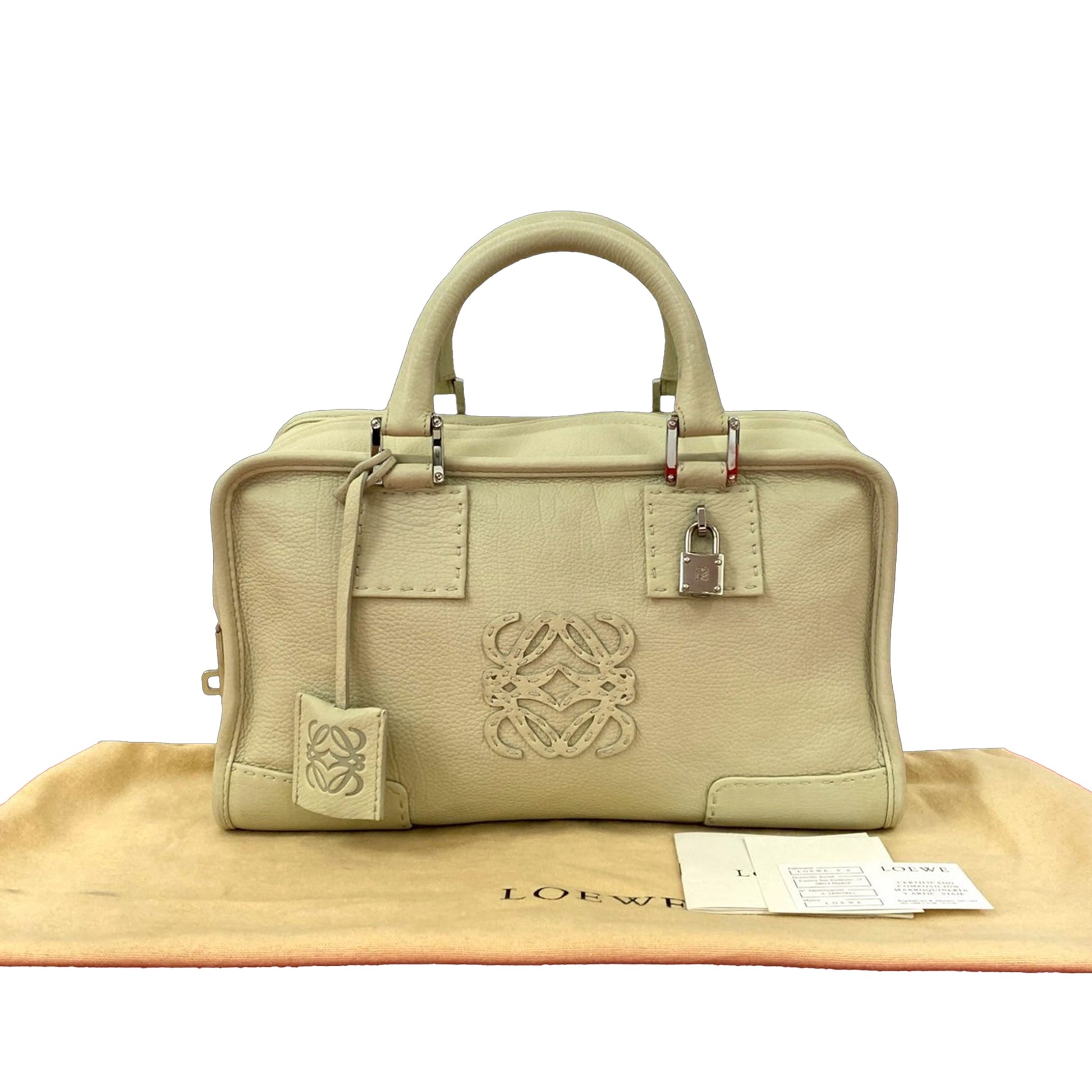 LOEWE Leather Amazona 28