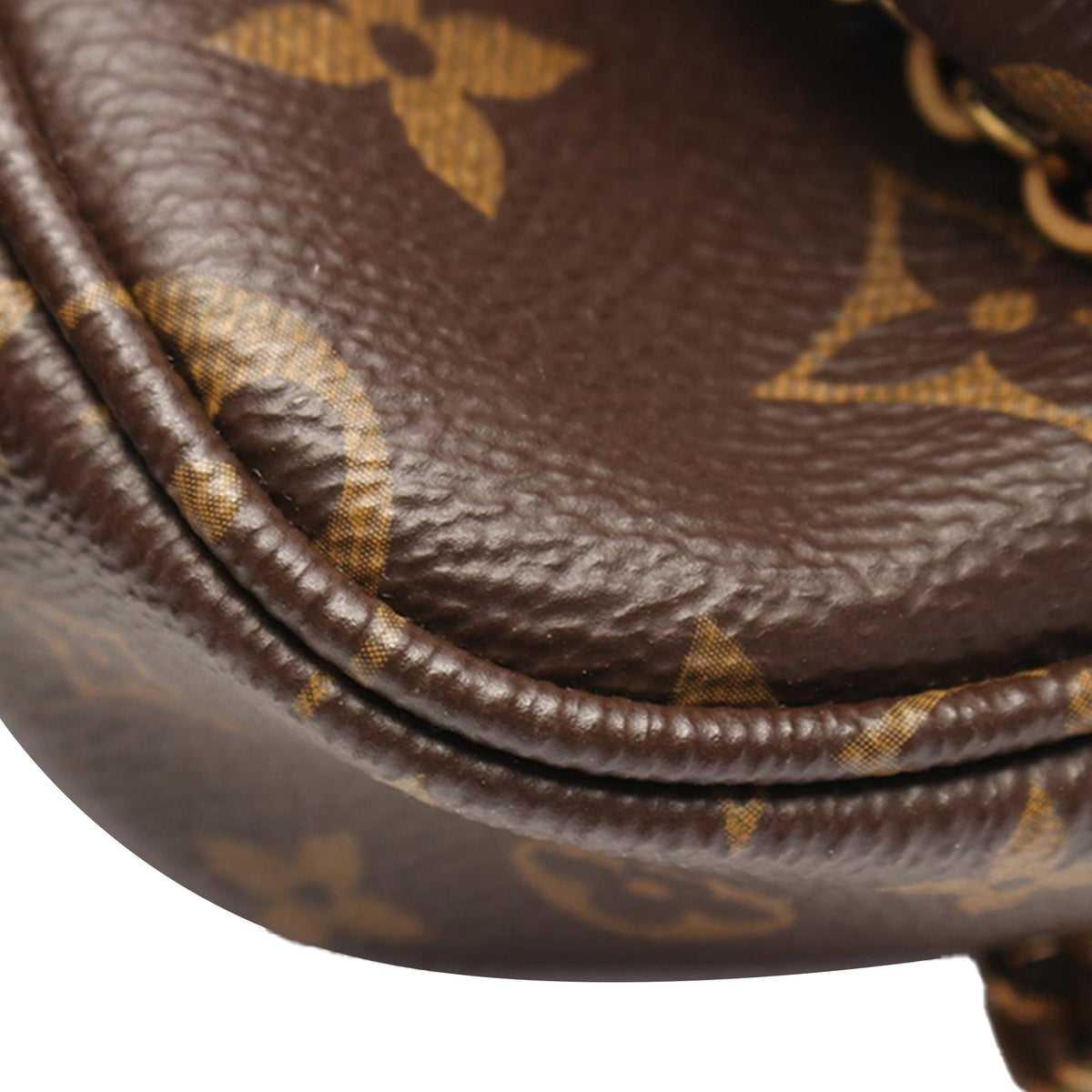 Louis Vuitton Monogram Multi Pochette Accessoires