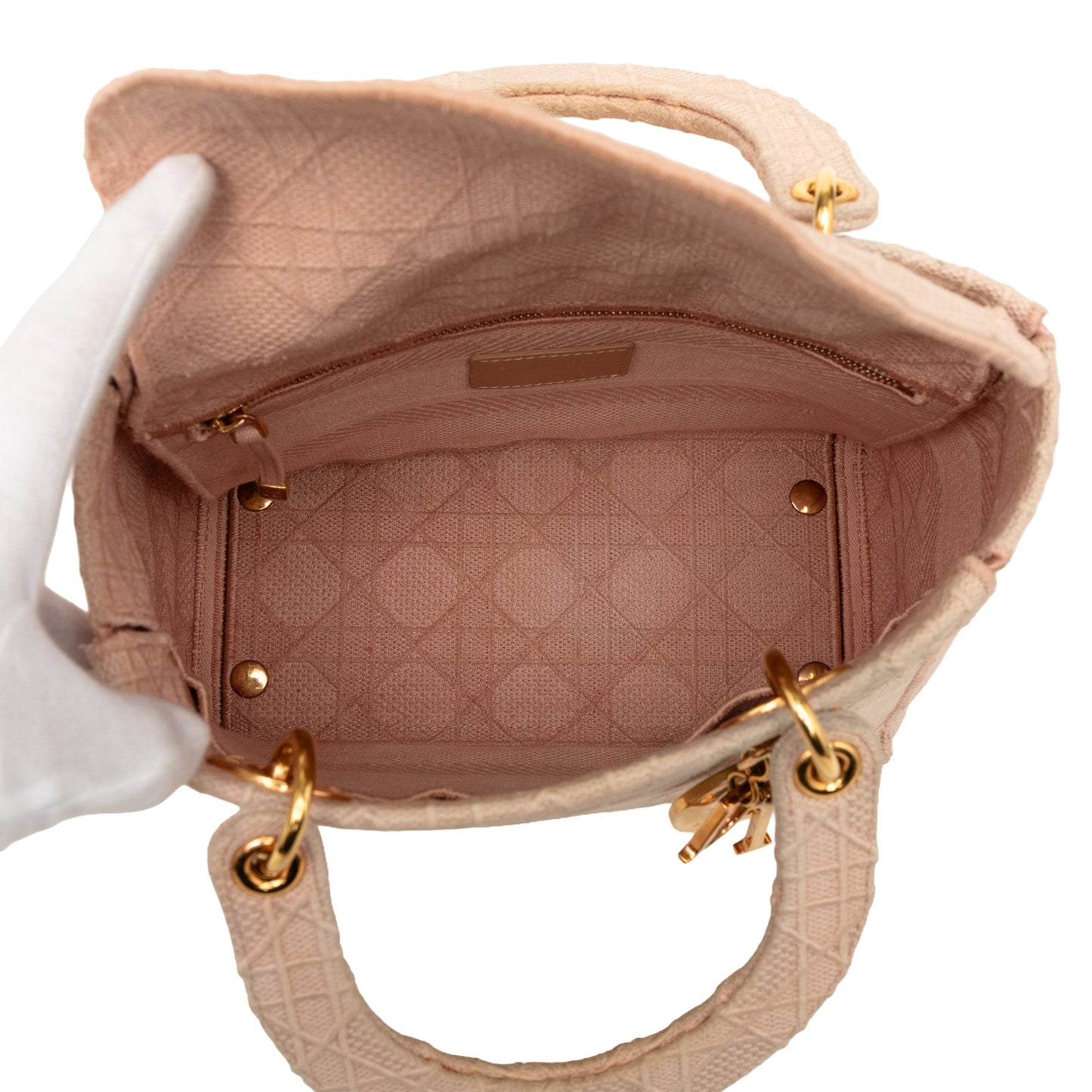 Dior Medium Embroidered Canvas Cannage Lady D Lite