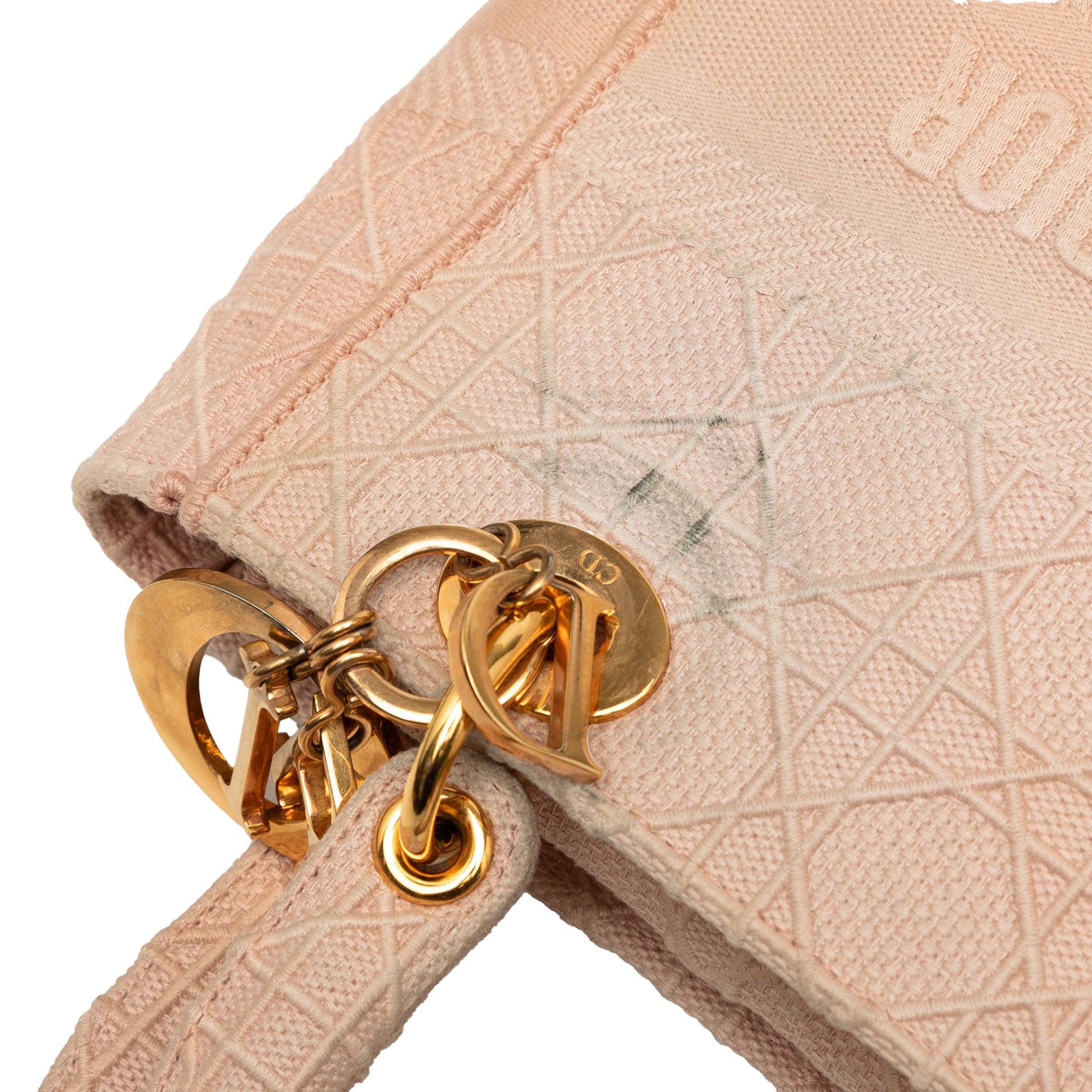 Dior Medium Embroidered Canvas Cannage Lady D Lite