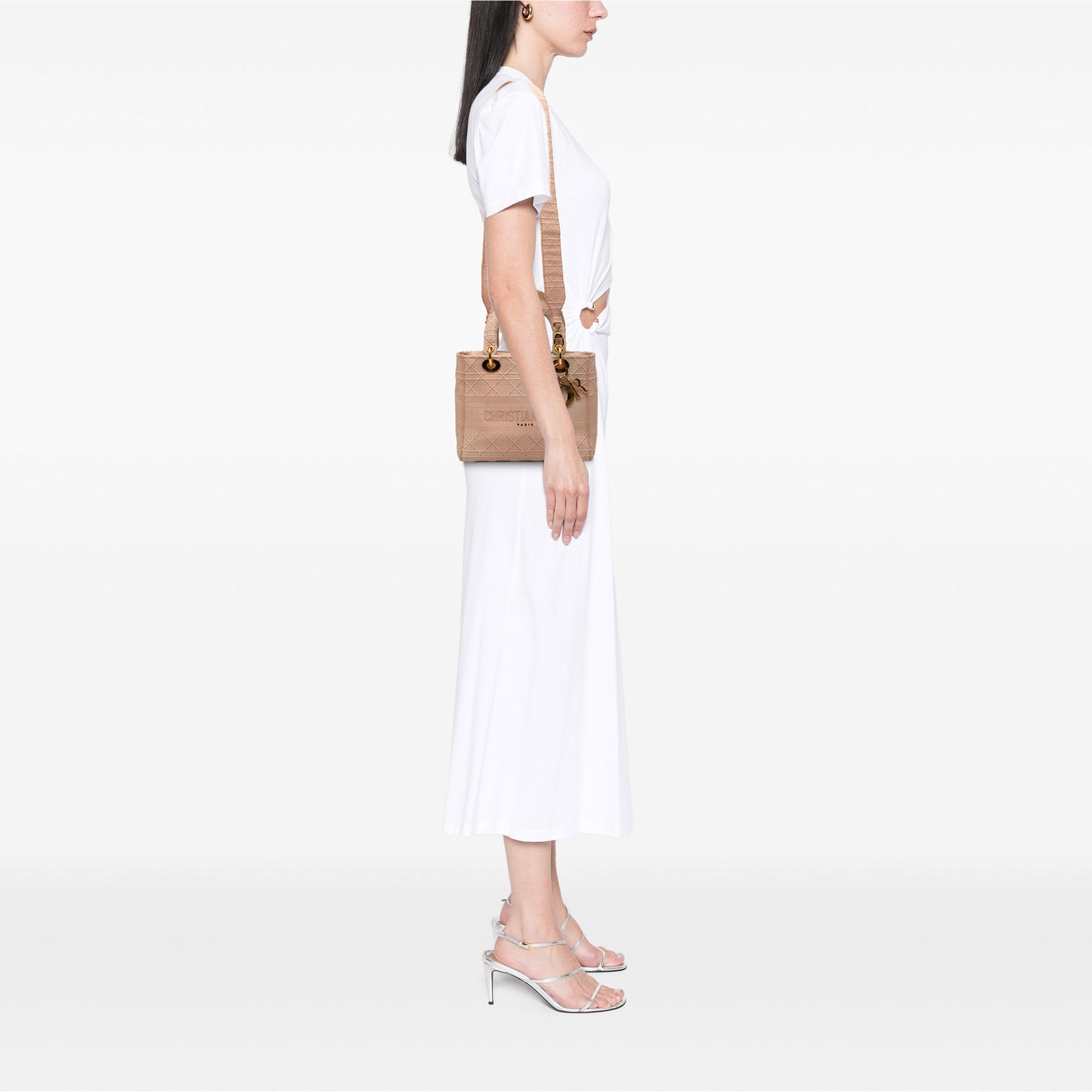Dior Medium Embroidered Canvas Cannage Lady D Lite