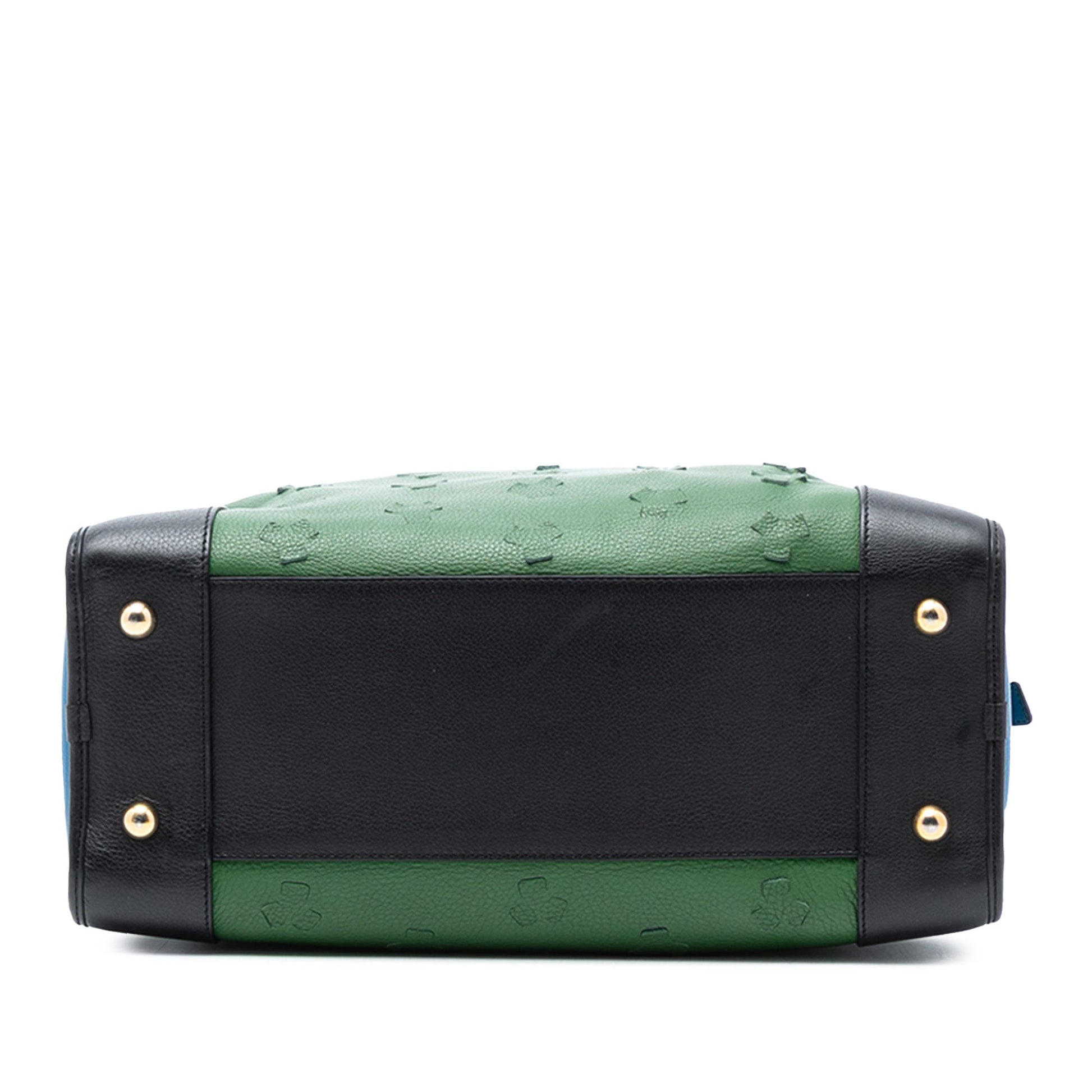 Limited Edition Leather Amazona 36