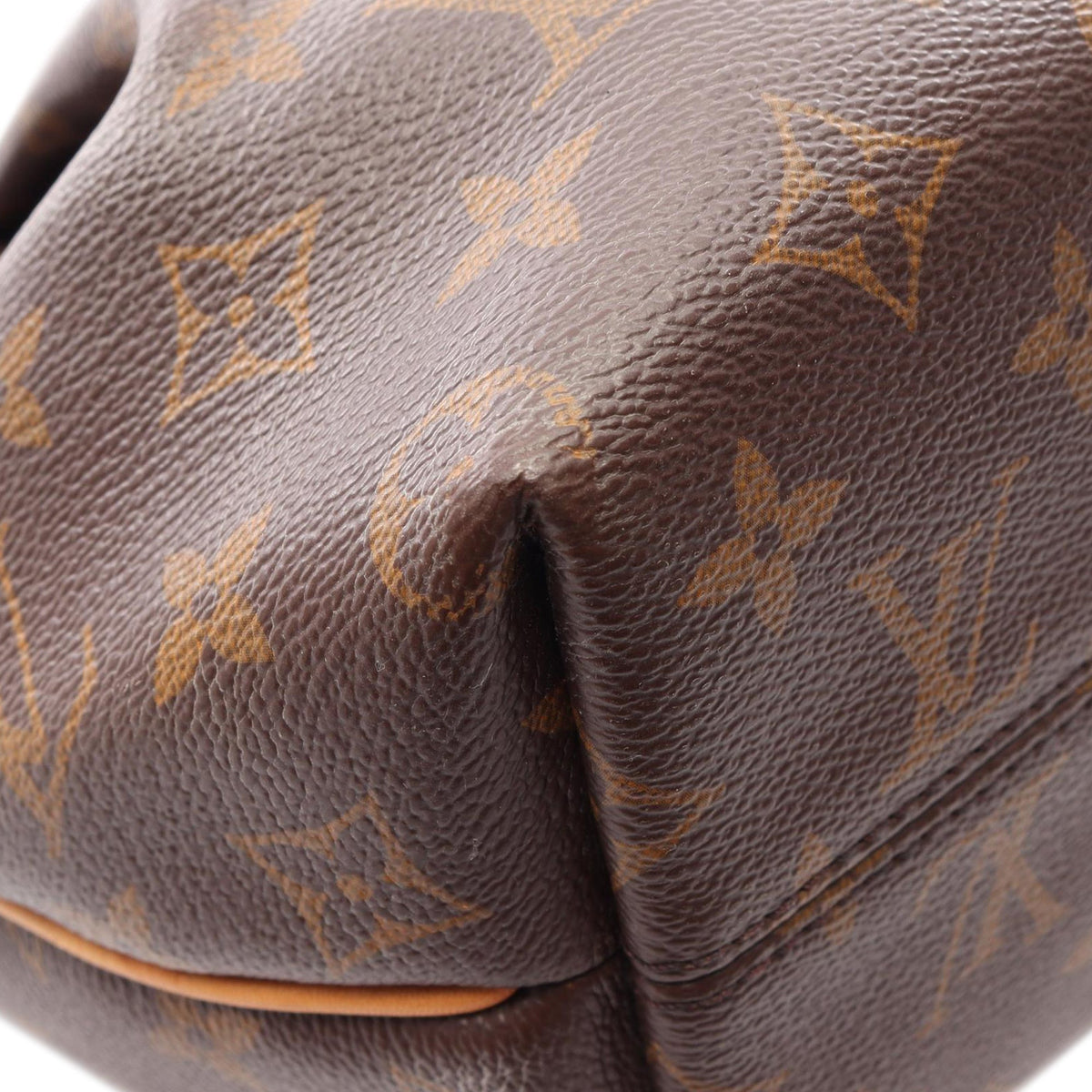 Louis Vuitton Monogram Turenne PM — Brown