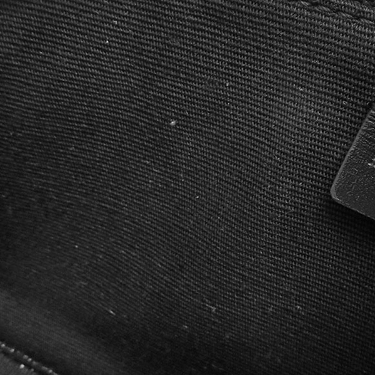 Celine Triomphe Coated Canvas Logo Horizontal Pouch