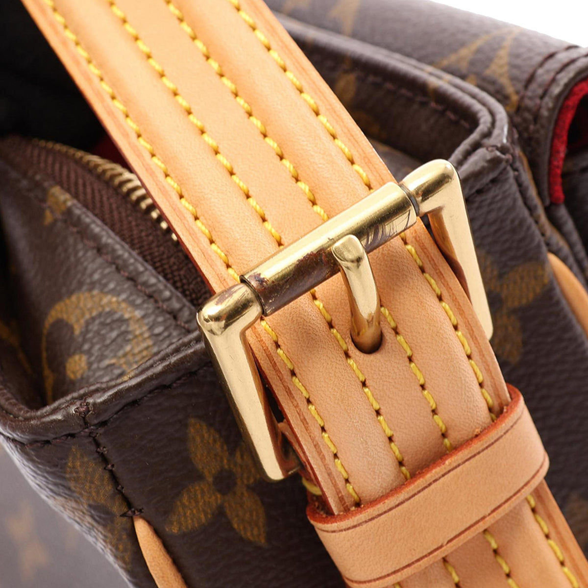 Louis Vuitton Monogram Viva Cite MM — Brown