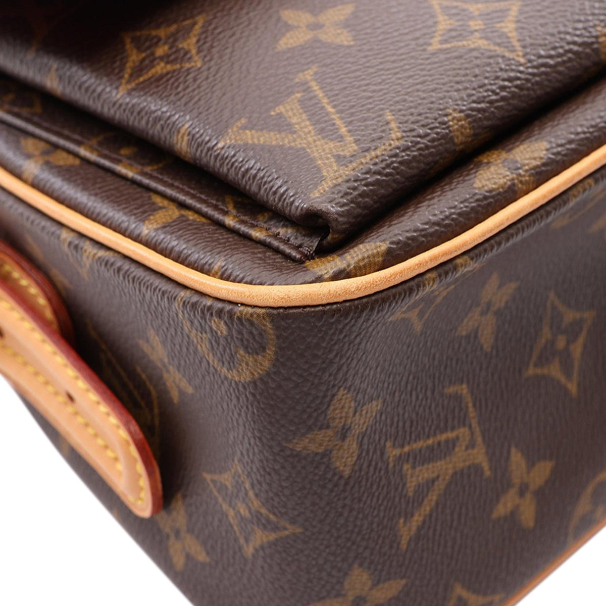 Louis Vuitton Monogram Viva Cite MM — Brown