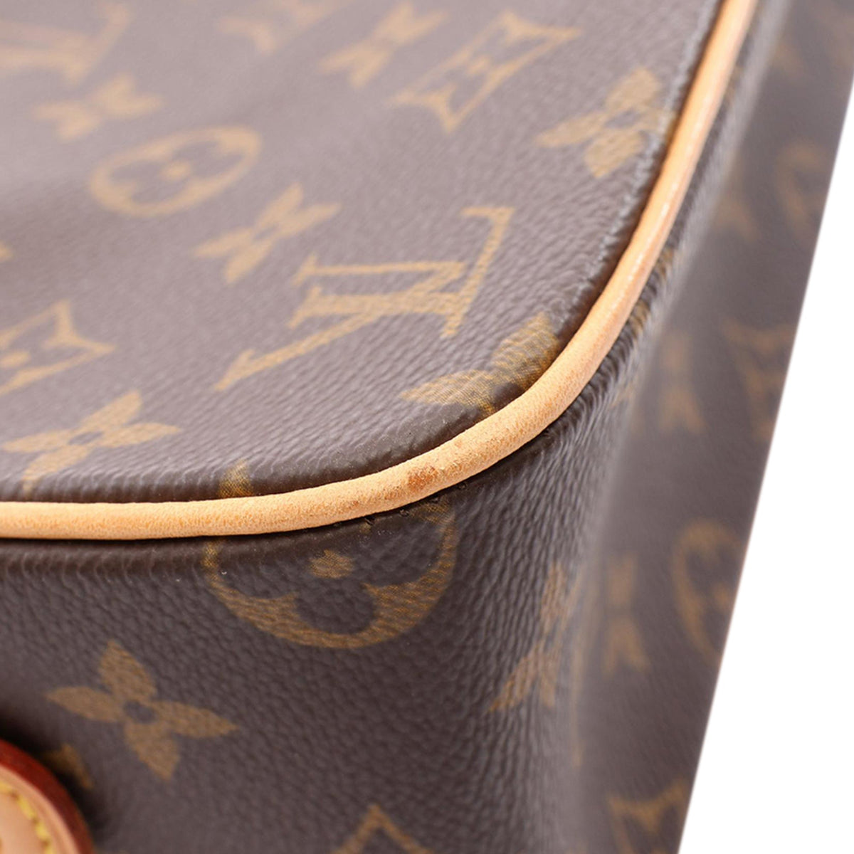 Louis Vuitton Monogram Viva Cite MM — Brown