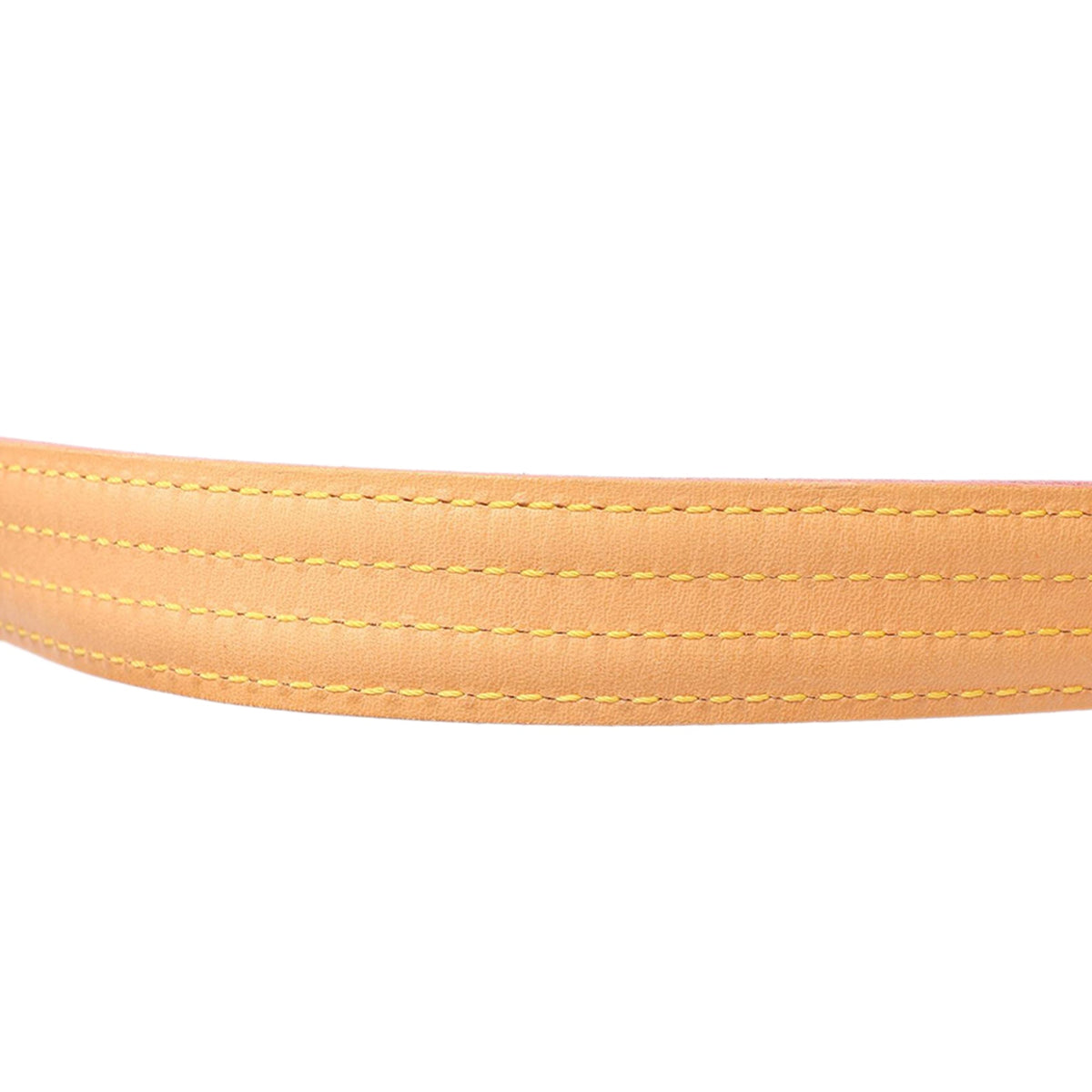 Louis Vuitton Monogram Viva Cite MM — Brown