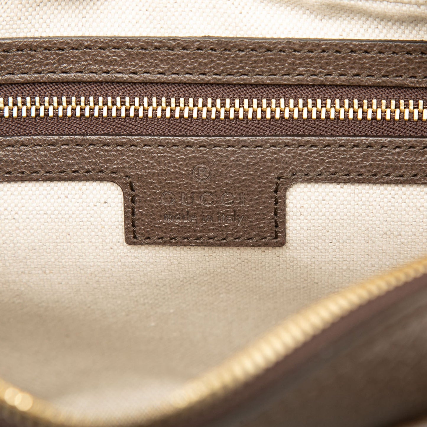 Gucci GG Supreme Web Ophidia Crossbody
