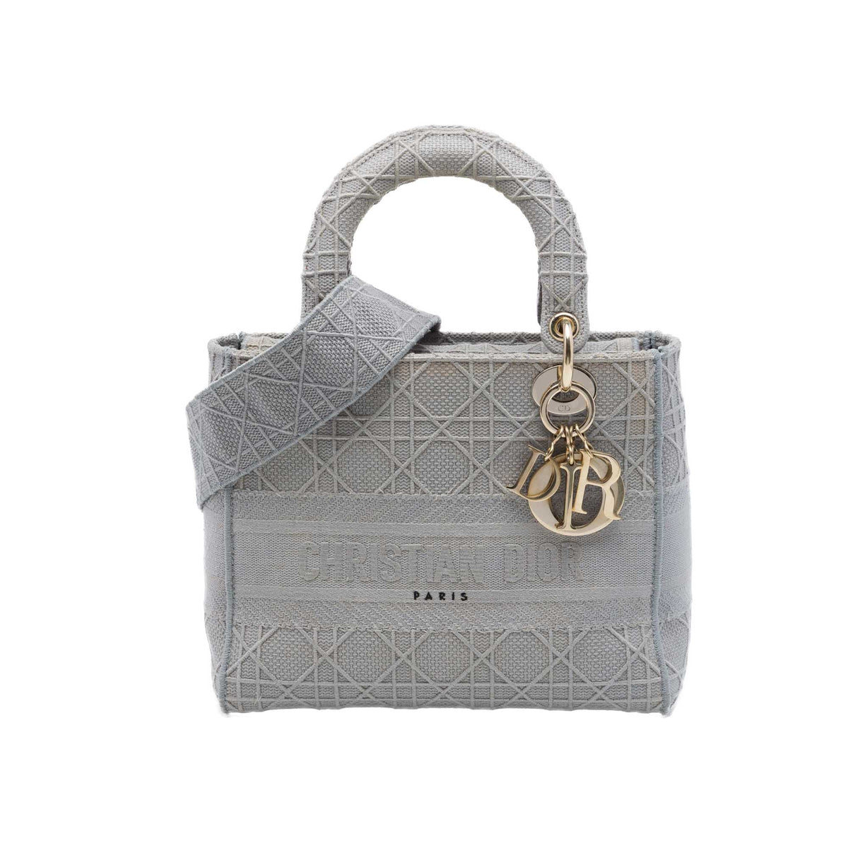 Dior Medium Embroidered Canvas Cannage Lady D Lite