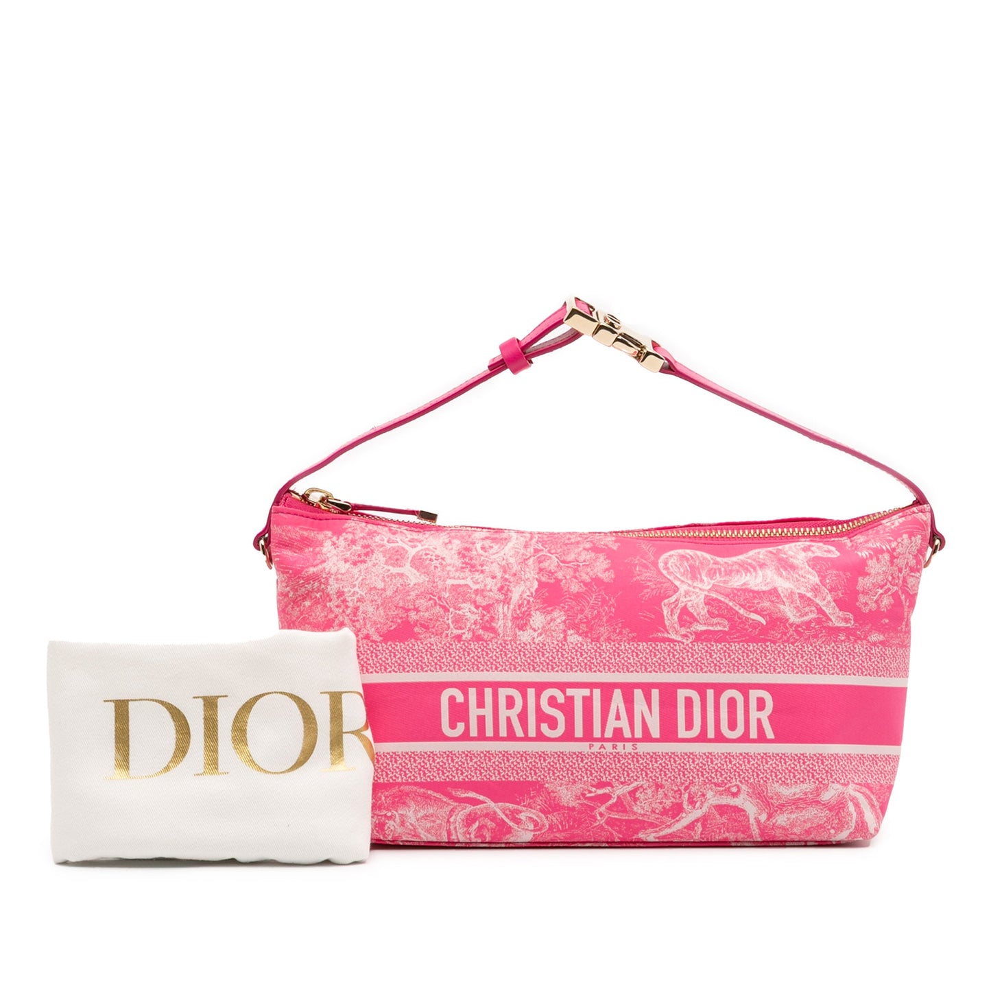 Dior Medium Technical Fabric Toile de Jouy Reverse DiorTravel Nomad Pouch