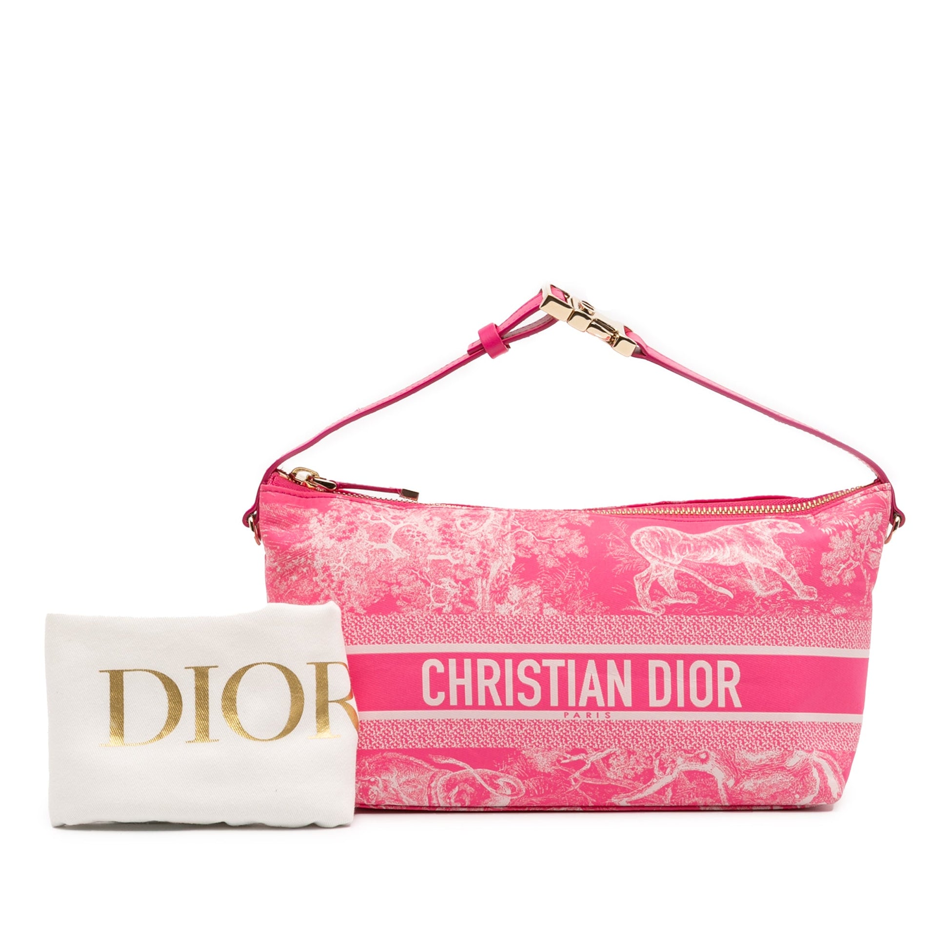 Dior Medium Technical Fabric Toile de Jouy Reverse DiorTravel Nomad Pouch