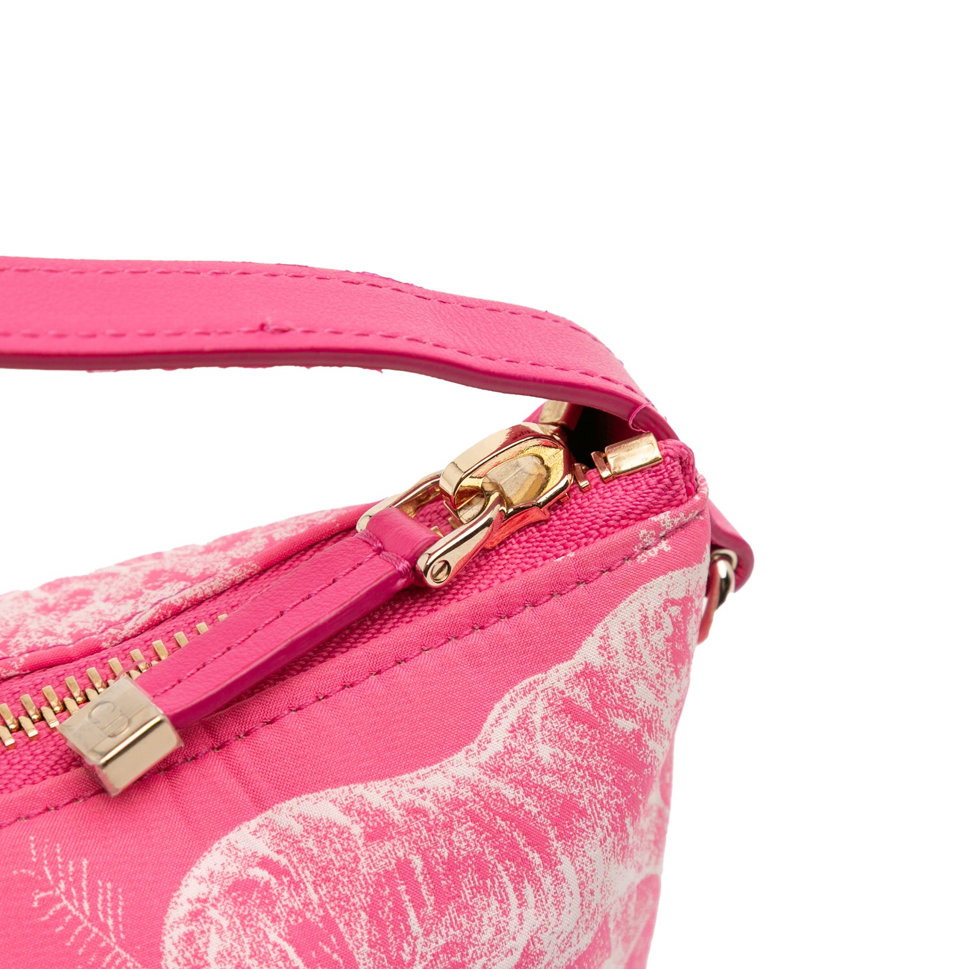 Dior Medium Technical Fabric Toile de Jouy Reverse DiorTravel Nomad Pouch