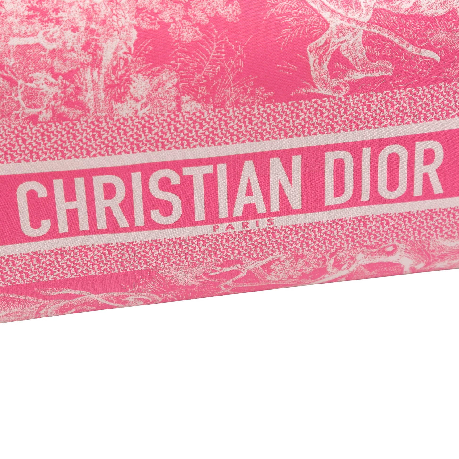 Dior Medium Technical Fabric Toile de Jouy Reverse DiorTravel Nomad Pouch