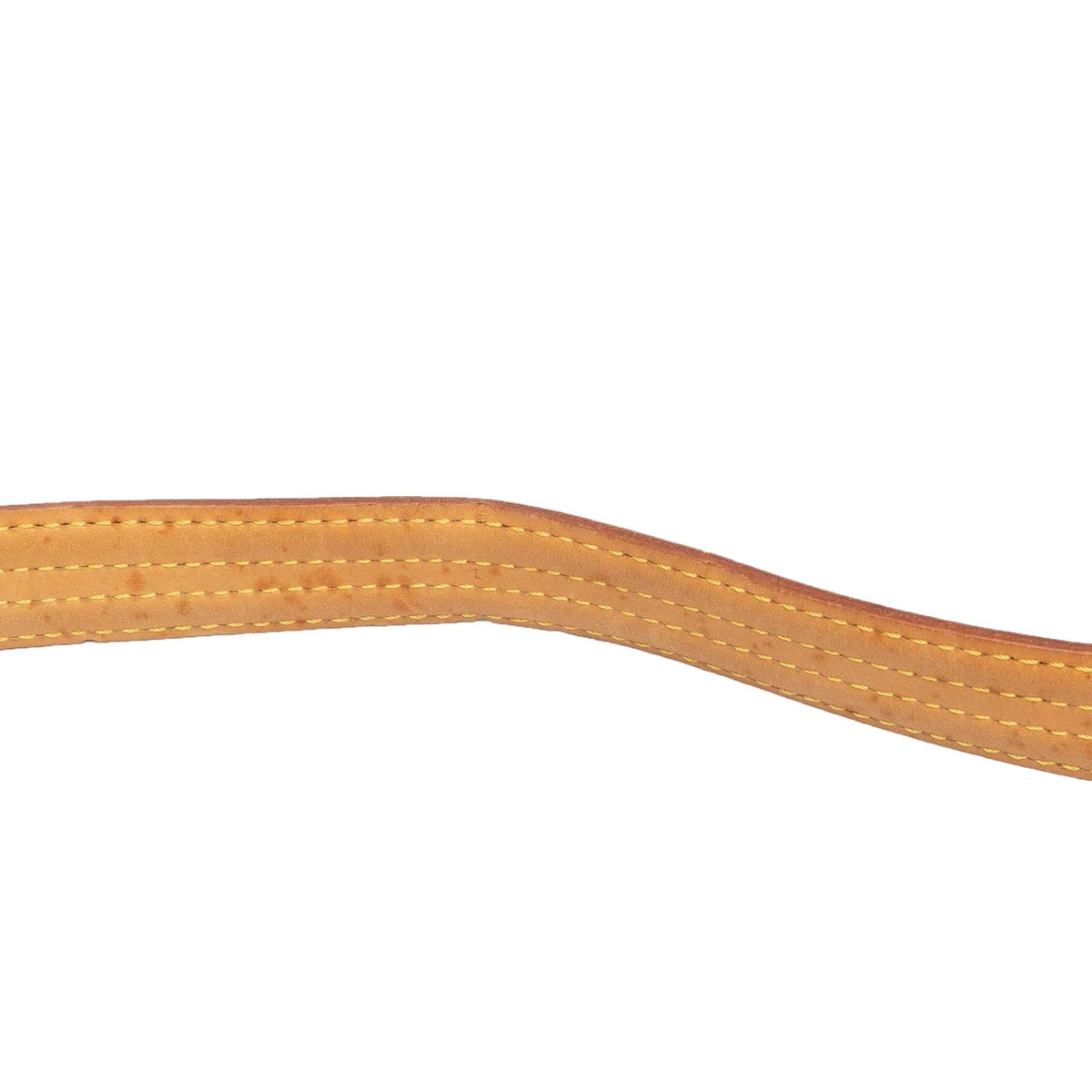 Louis Vuitton Monogram Viva Cite MM