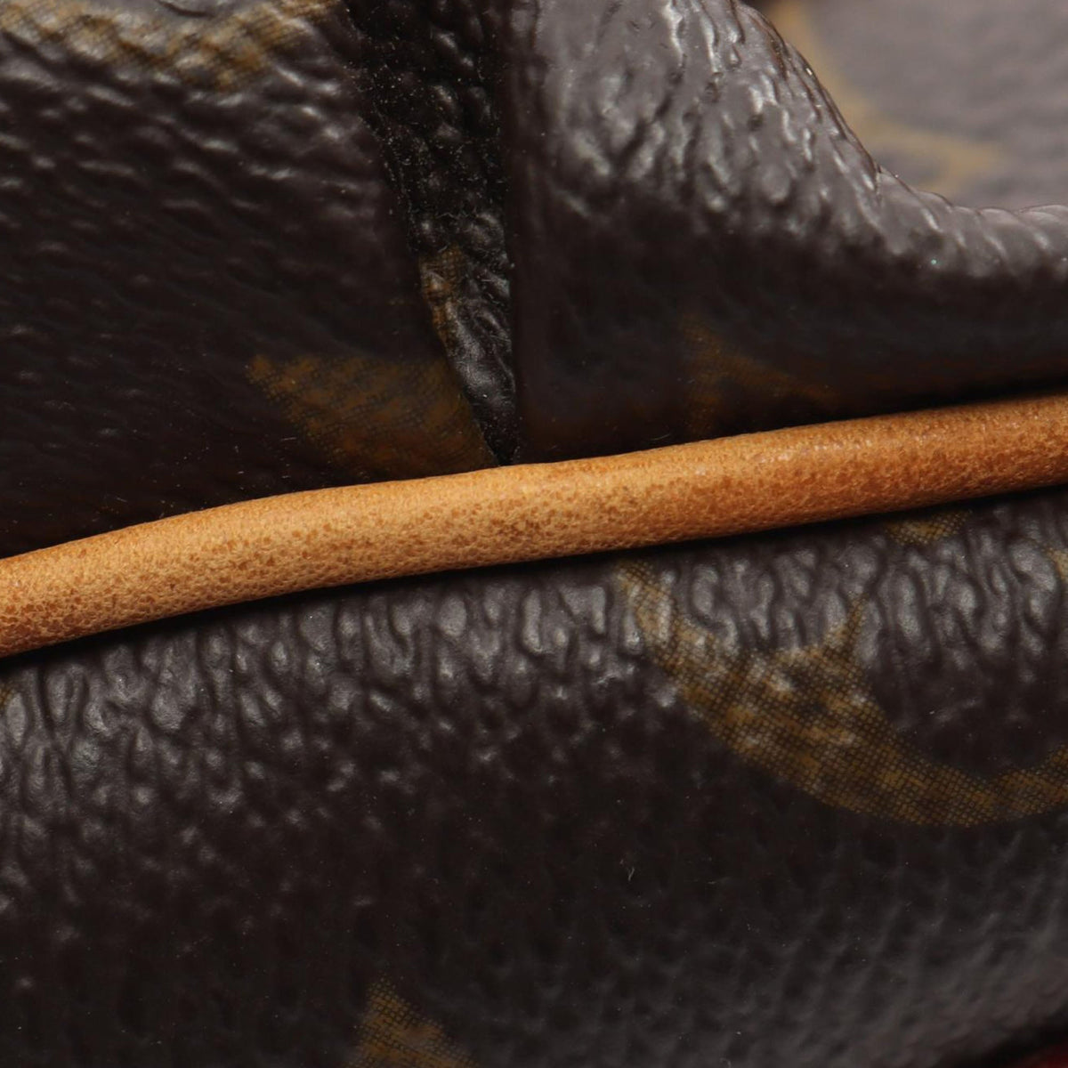 Louis Vuitton Monogram Tulum GM